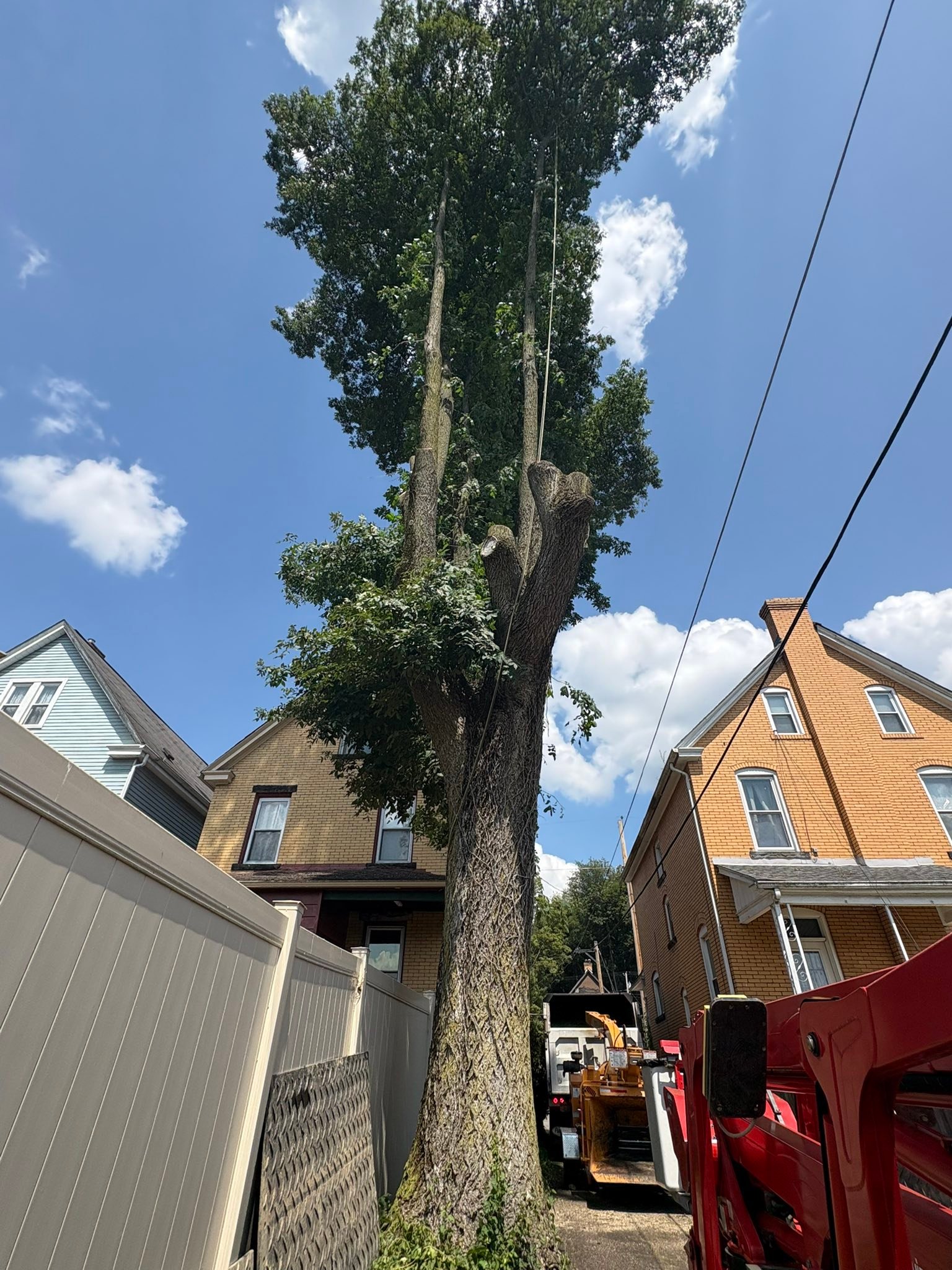 Top Notch Tree Service | West Sunbury PA
