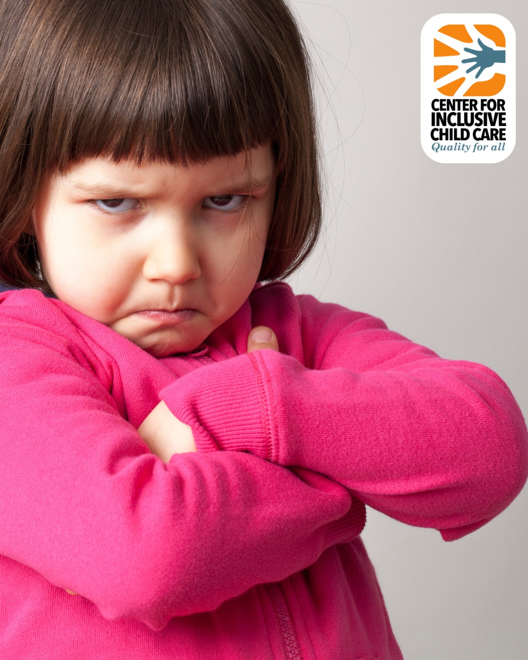 The behavior isn’t the... - Center for Inclusive Child Care | Facebook