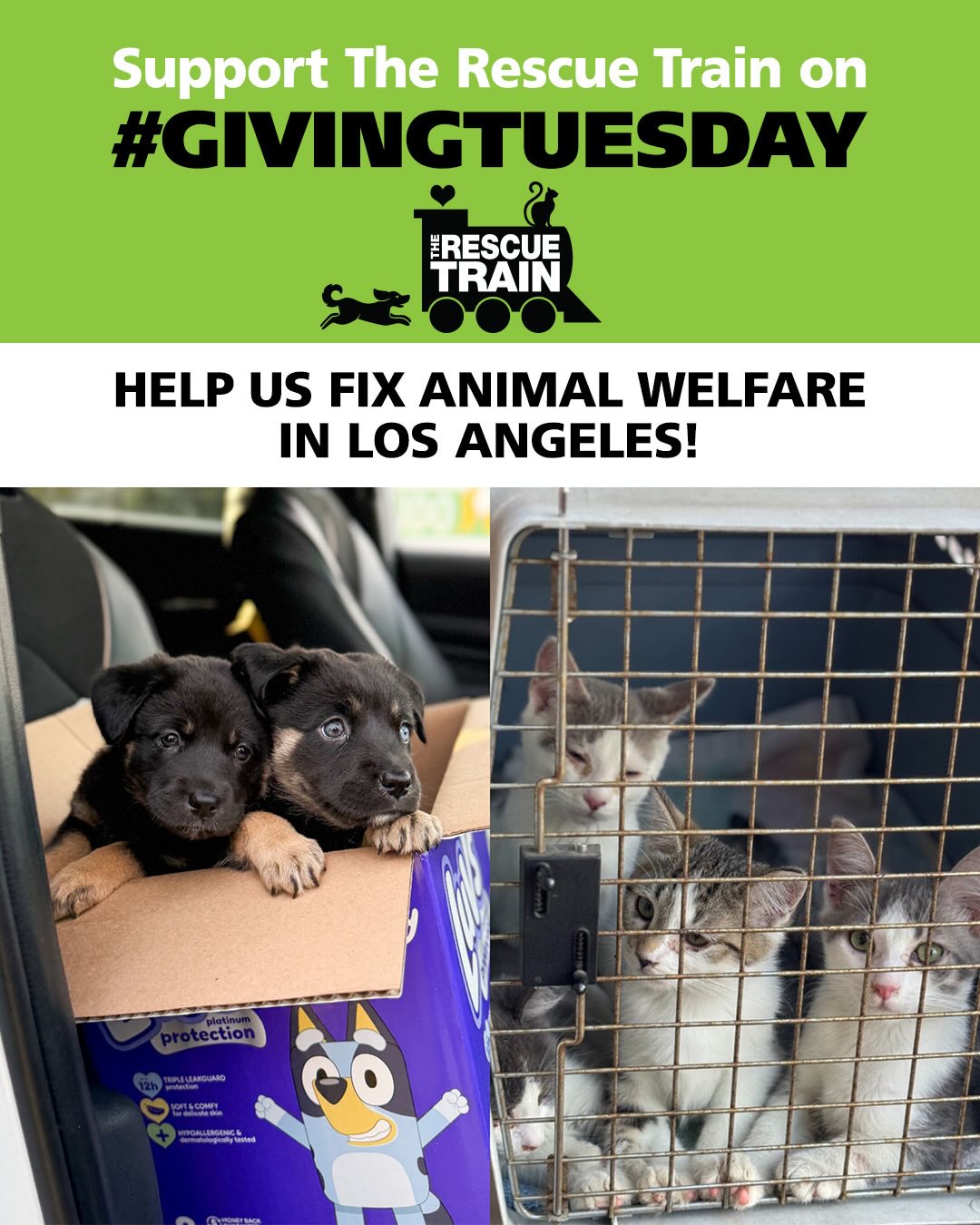 🐾 BE THE HERO ANIMALS NEED THIS GIVING... - The Rescue Train | Facebook