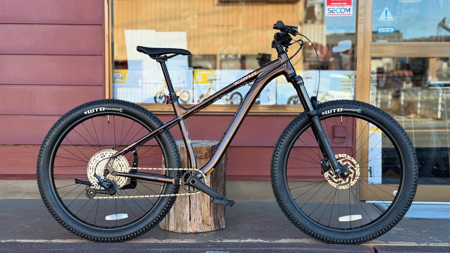 AST FOREST マウンテンバイク パーツ3点セット canyon renthal dmr