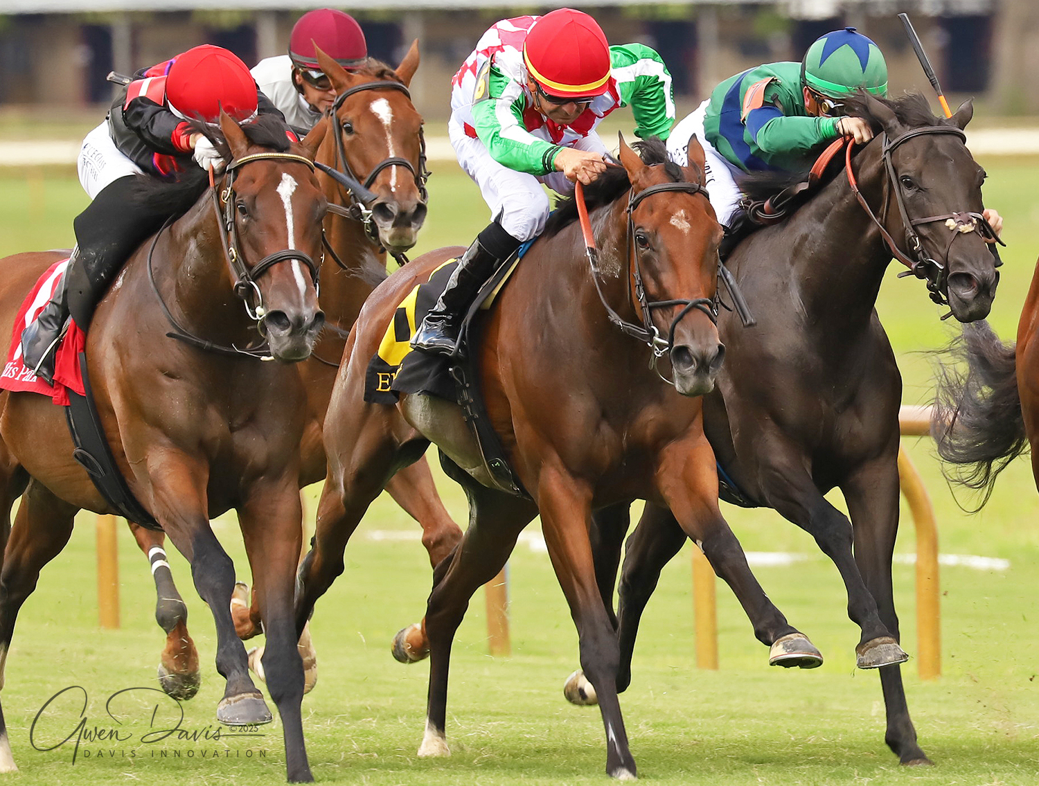 Romans Racing Stables, Inc... - Romans Racing Stables, Inc