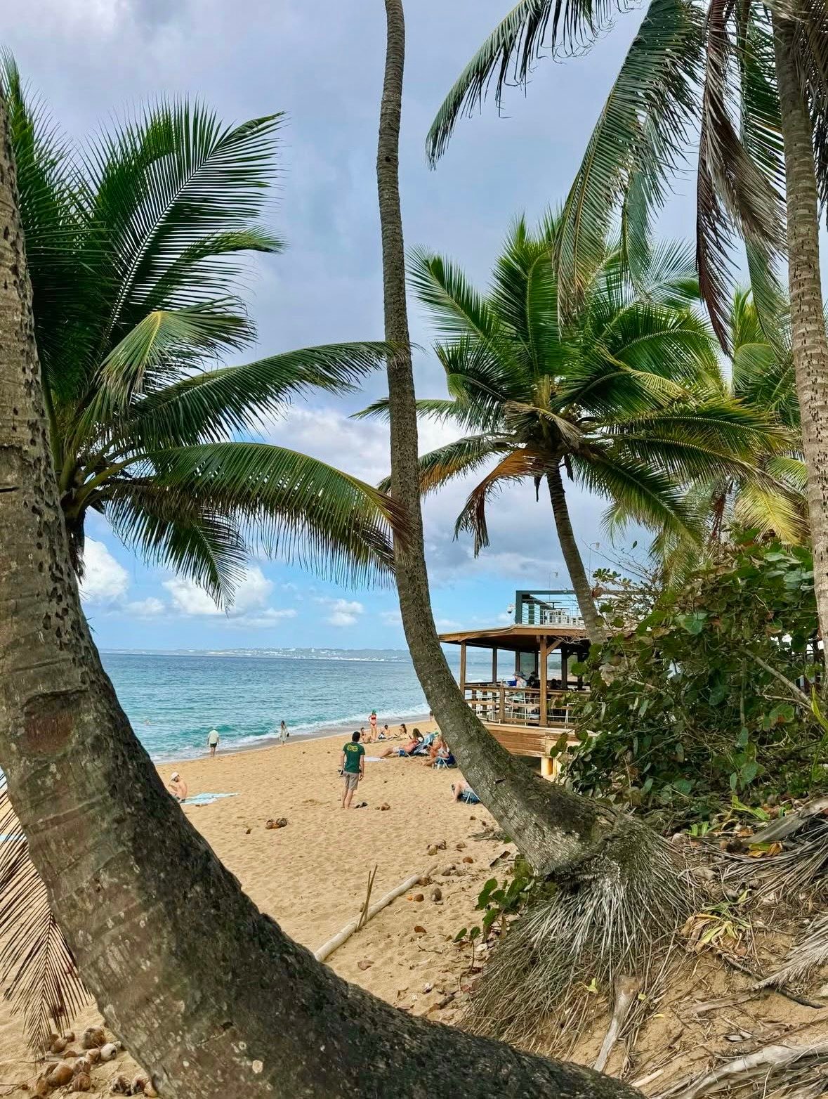 Tamboo Rincón, PR | Tablonal