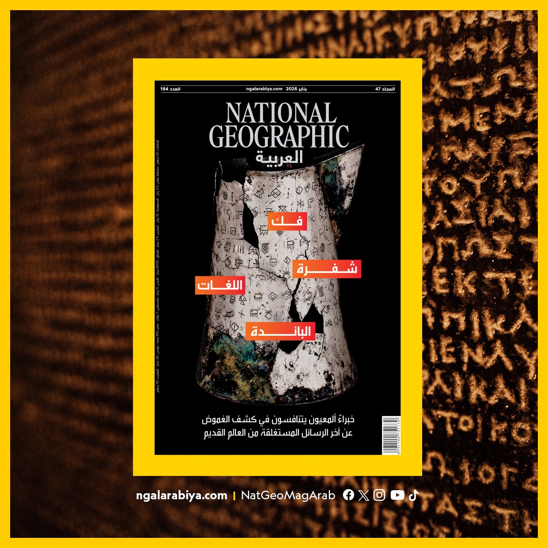 National - متحف لدراسة أعضاء الجسم البشري! يقدم 