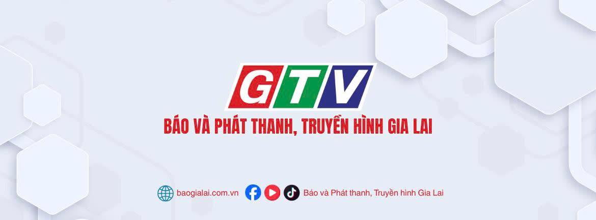 Gia Lai News - Mùi hôi từ trại heo 'tra tấn' người dân:... | Facebook