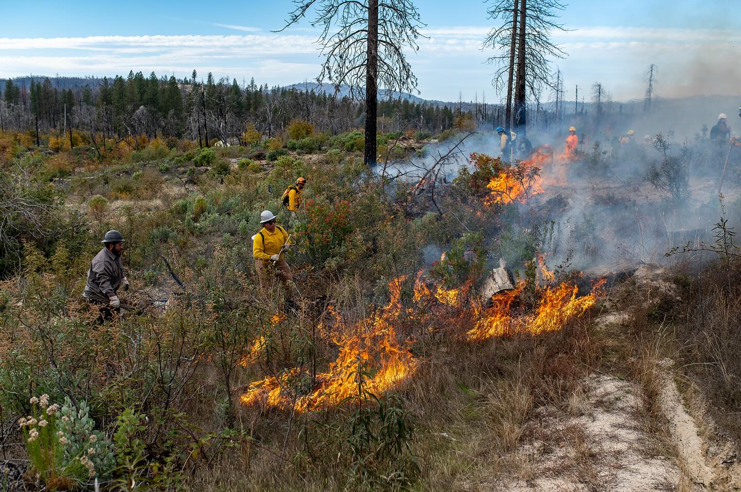 TREX Prescribed Fire Training Exchange