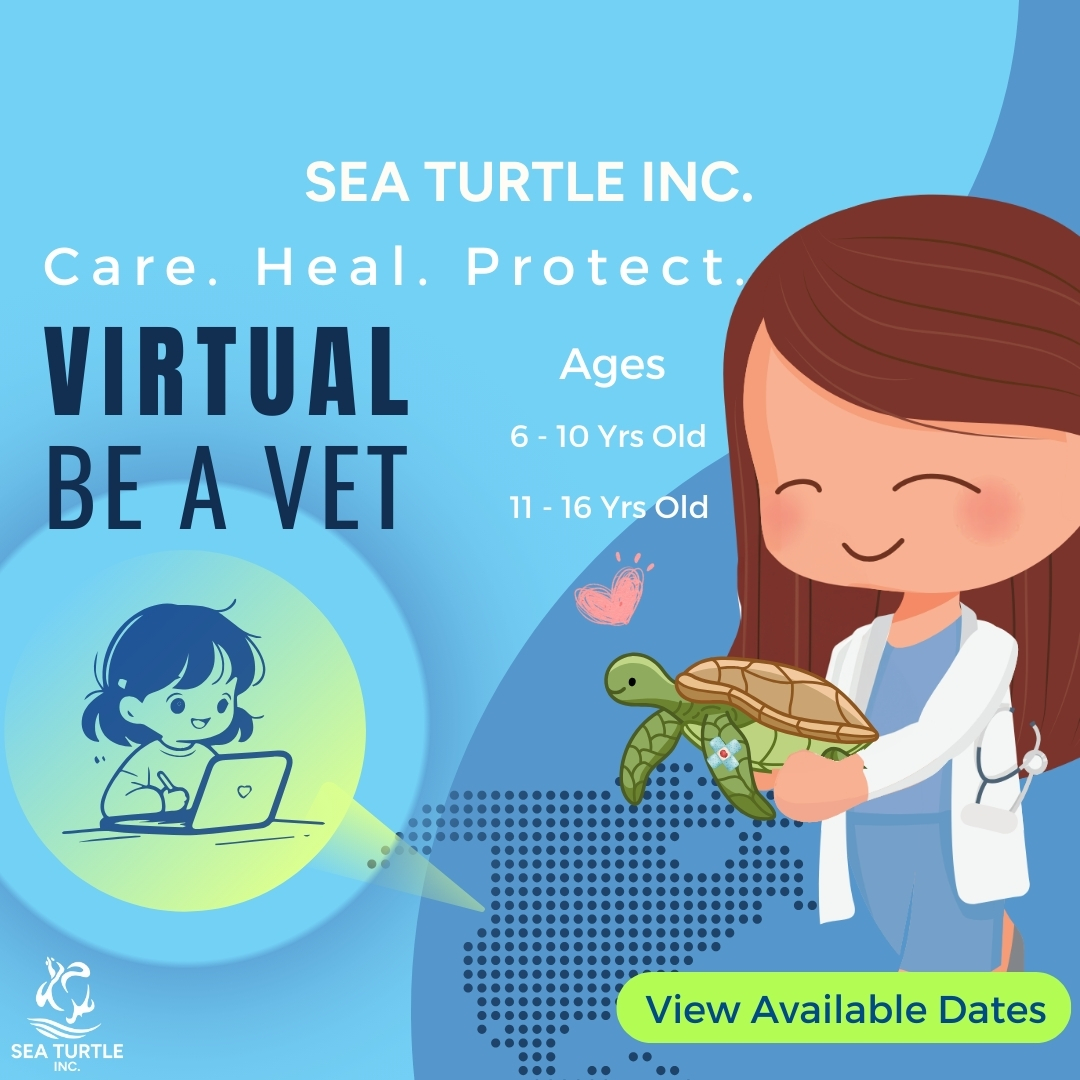 Sea - Photo Contest!! Deadline: August 31, 2013 Howdy sea turtle ...