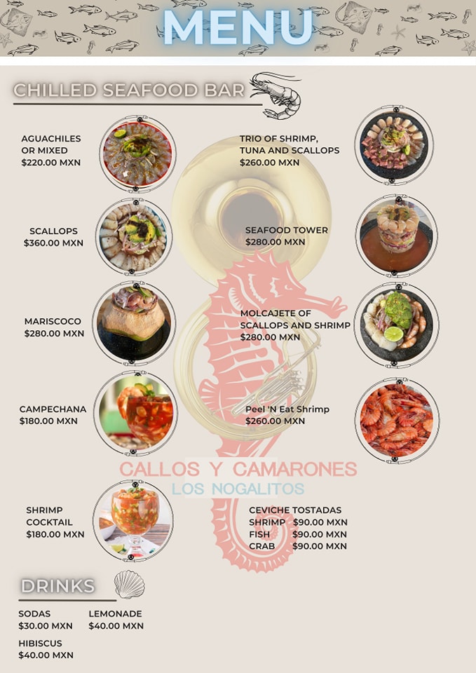 Callos y Camarones Los Nogalitos | Nogales Centro