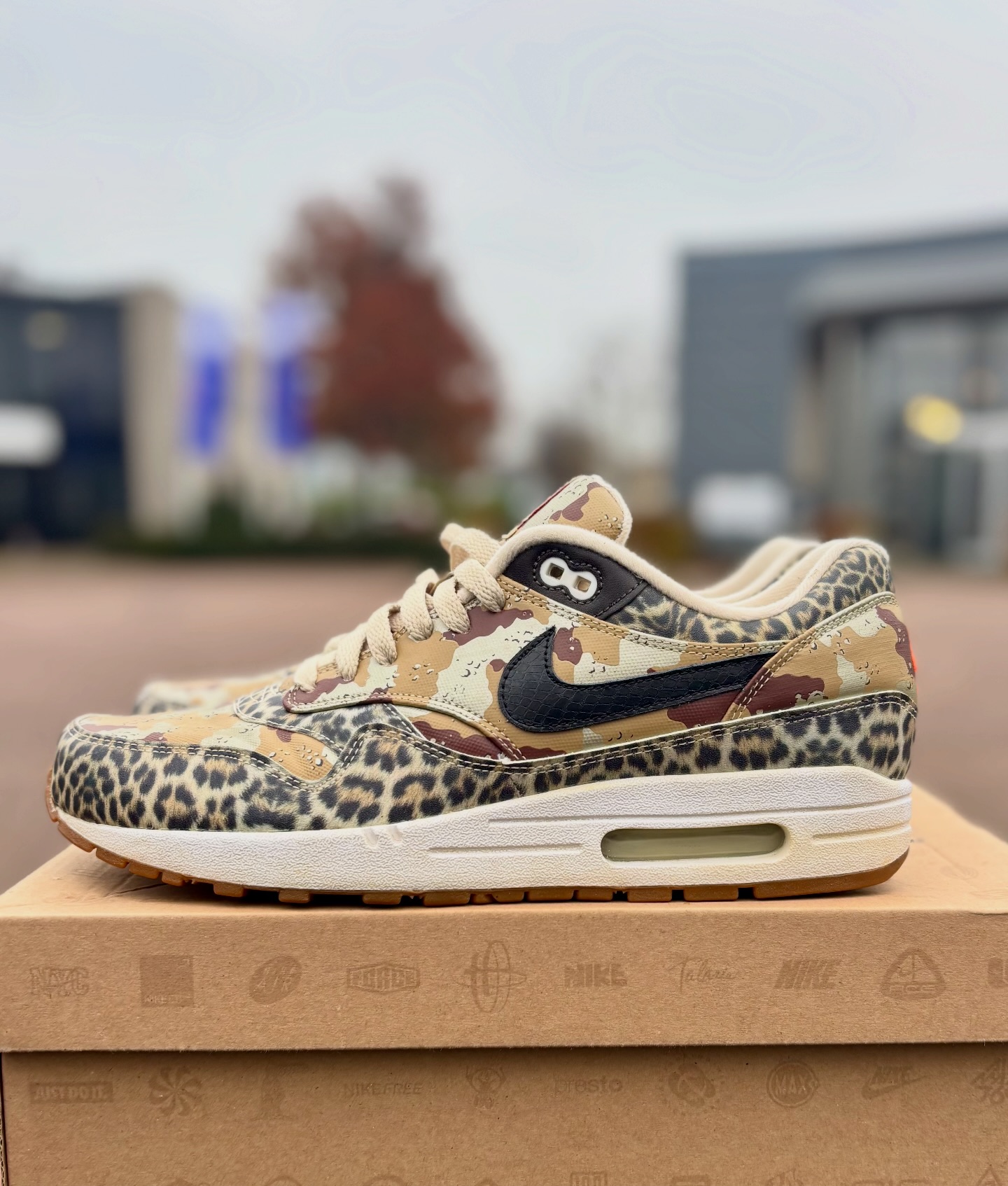 Size? x Nike Air Max 1 