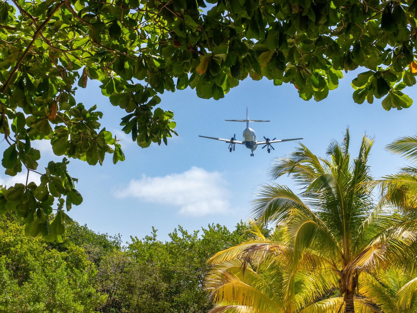 Nicole - While visiting Maya Key in Roatán, we were treated to more ...