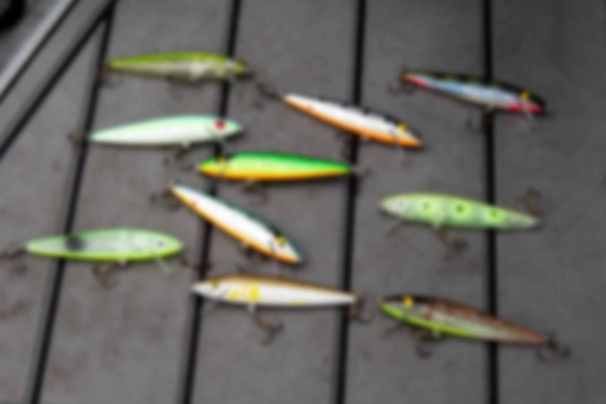 FishUSA - 🚨CUSTOM COLOR ALERT🚨 Check out these new custom color Rapala ...