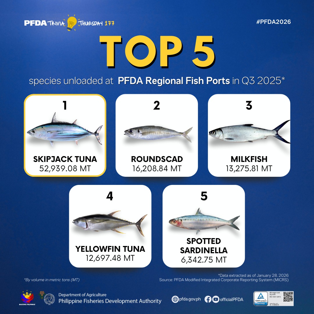 #PFDATriviaThursday | Top 5 species from PFDA RFPs in Q3 2025 🐠🐟 Here ...