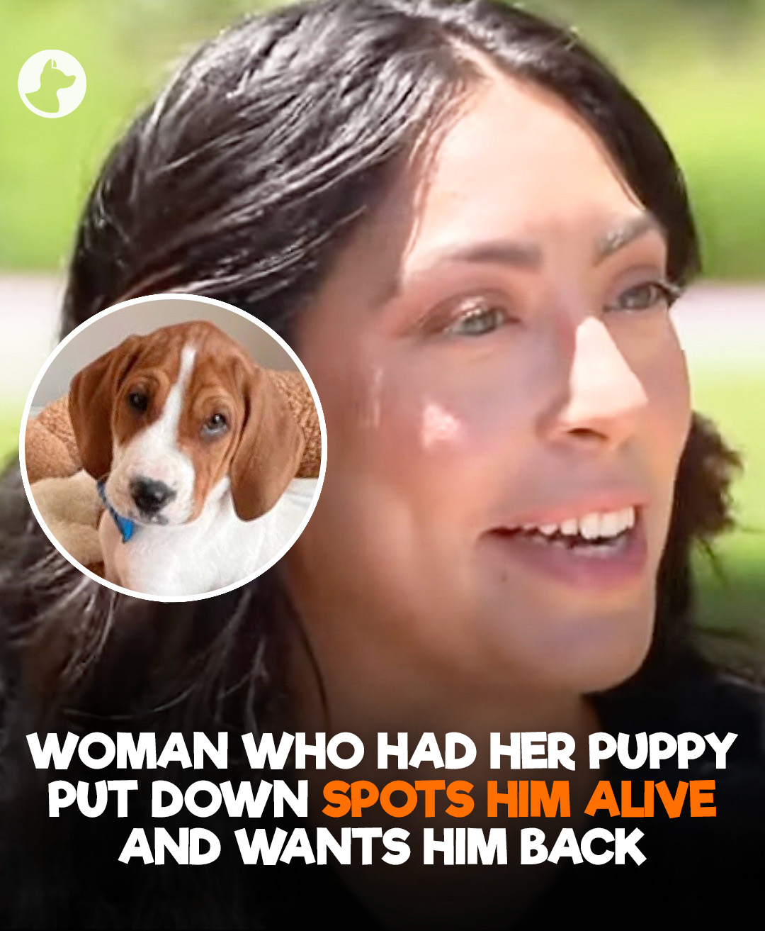 Go Fetch - She tearfully says she wants him back after... | Facebook