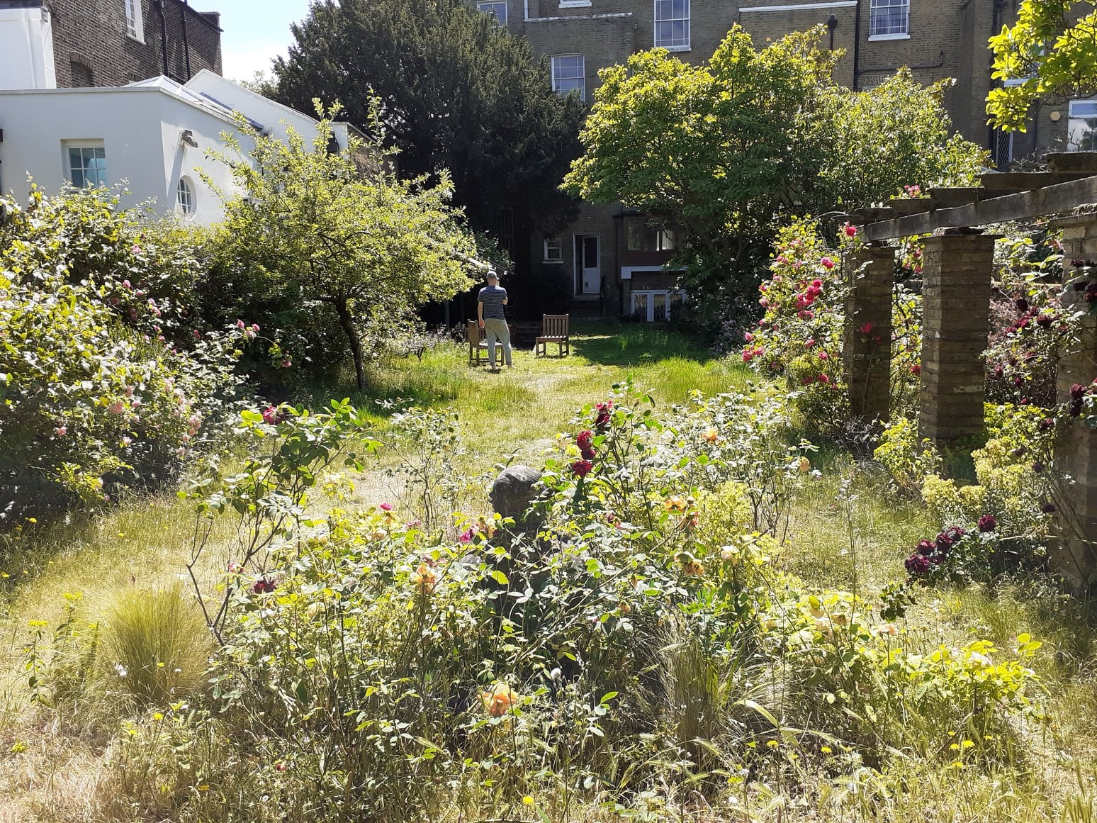 Primus Tree Surgeons | London