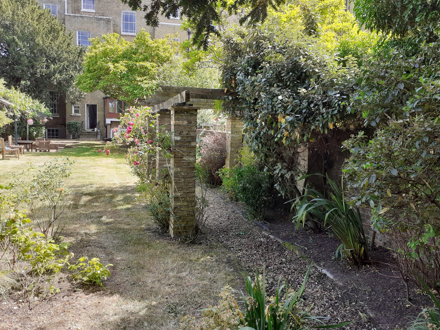Primus Tree Surgeons | London