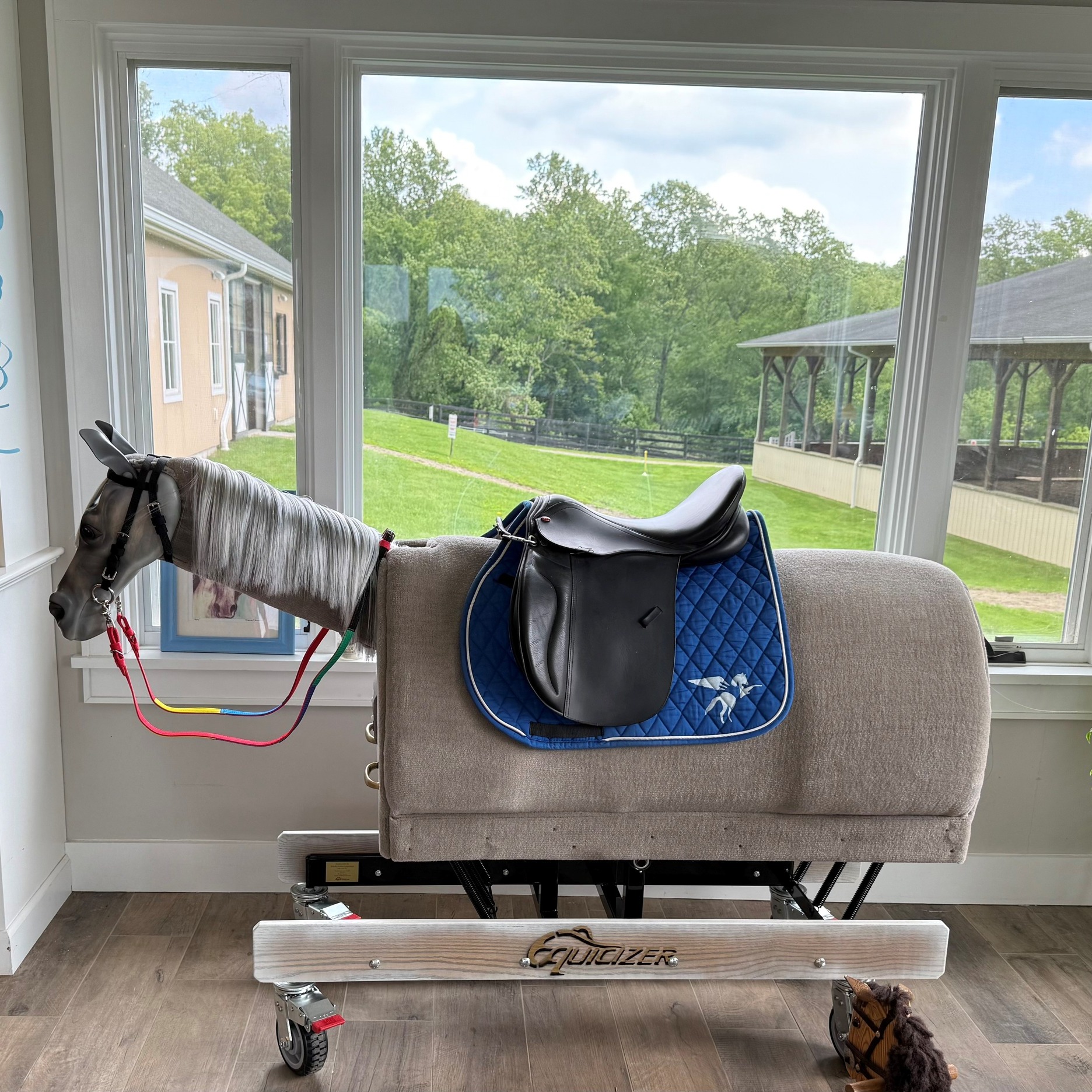 💙 A Special Gift in Honor of... - Pegasus Therapeutic Riding | Facebook