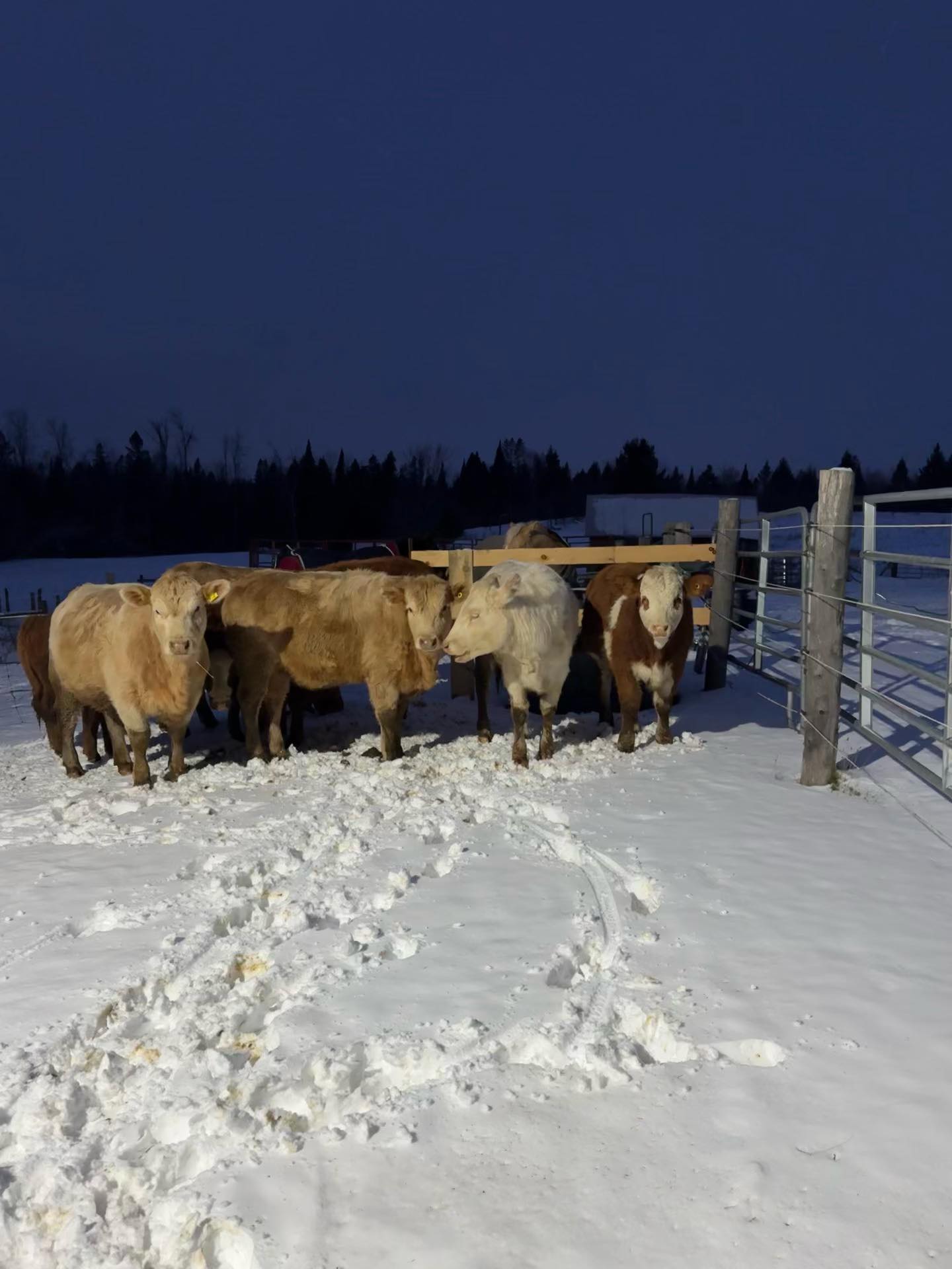 Little Red Ranch