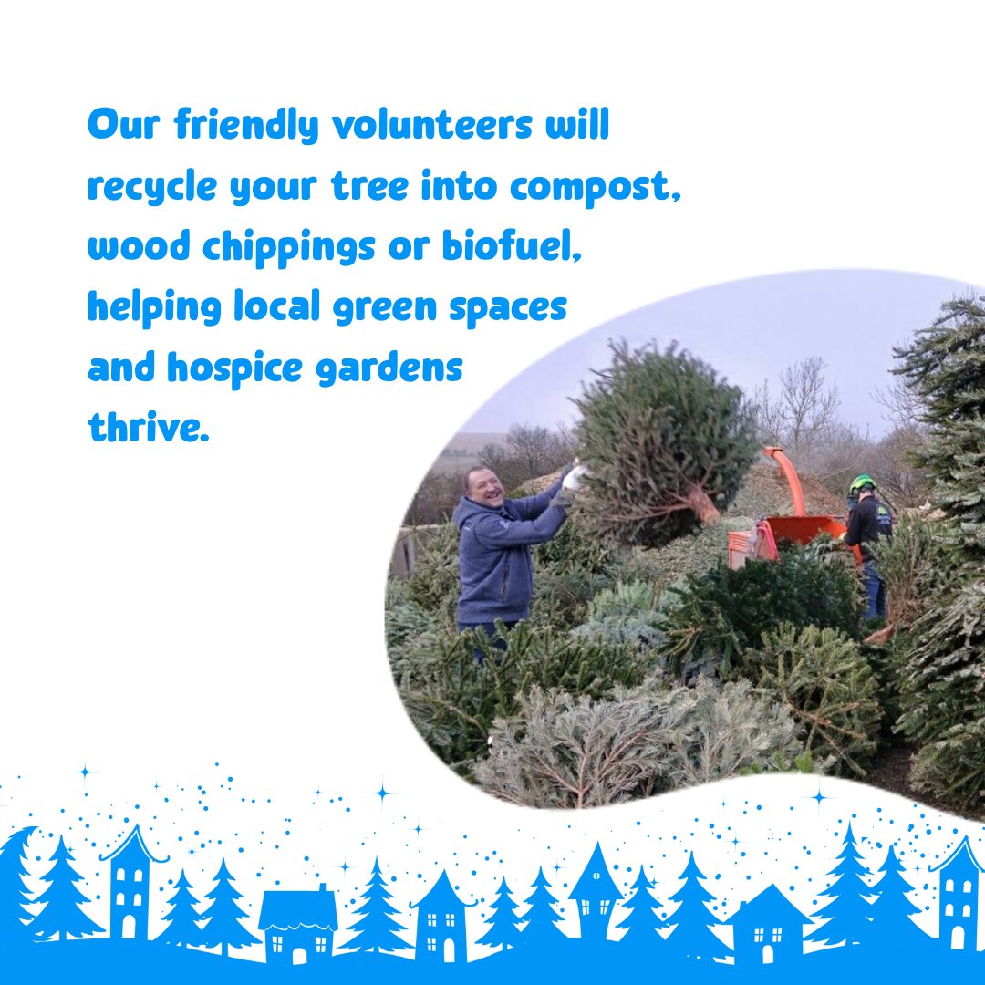 Sue Ryder Thorpe Hall Hospice - Our Christmas treecycling scheme is ...