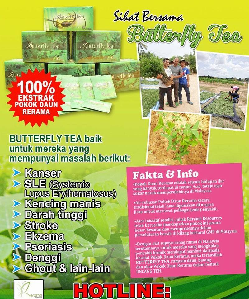 New pack... - Rerama Tea - Merawat pelbagai penyakit kronik
