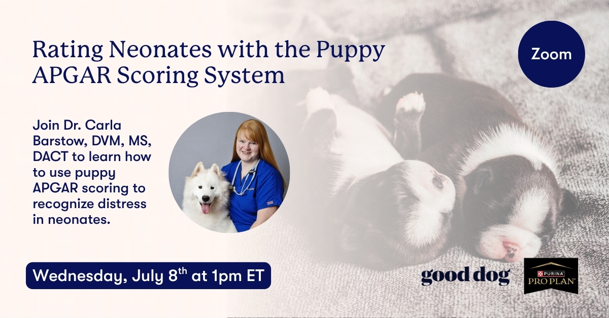 Rating Neonates with the Puppy APGAR Scoring System