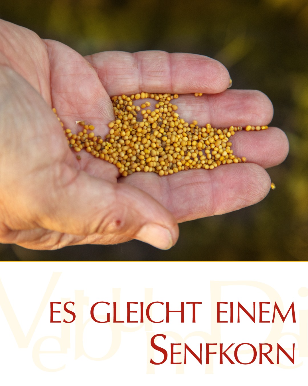 Vatican - Evangelium vom Tag Aus dem heiligen Evangelium nach Markus Mk ...