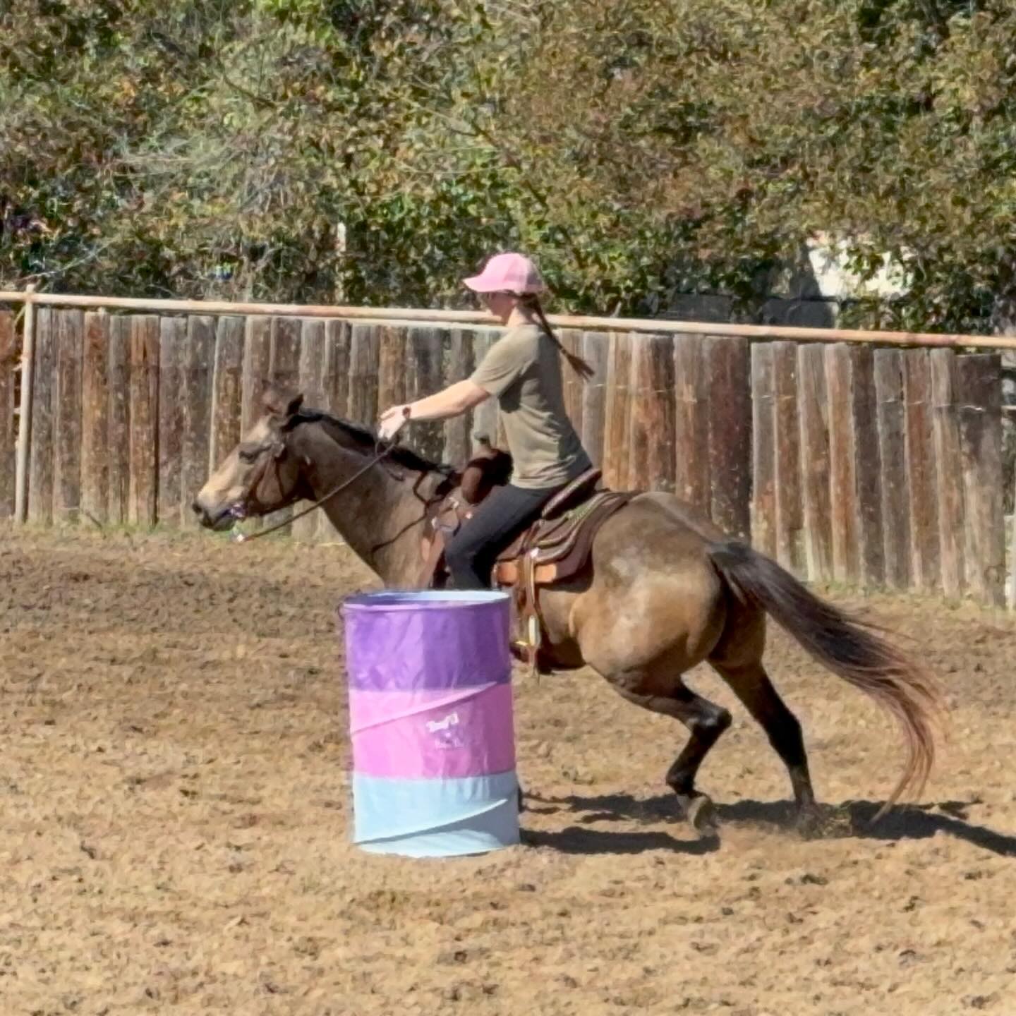 TnT Ranch & Tom Davis... - TnT Ranch & Tom Davis Horsemanship