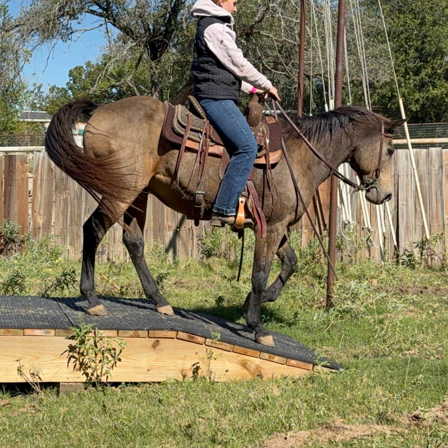 TnT Ranch & Tom Davis... - TnT Ranch & Tom Davis Horsemanship