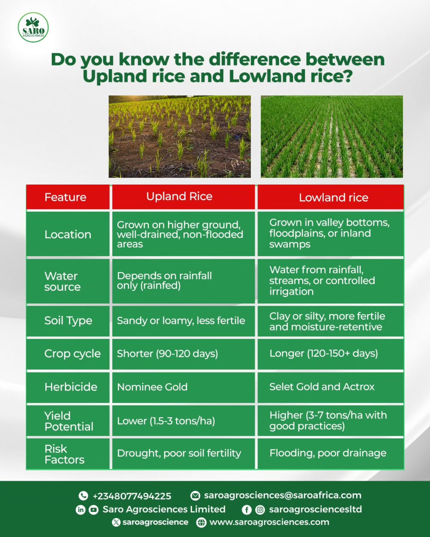 Not all rice fields are created equal,... - SARO Agrosciences | Facebook