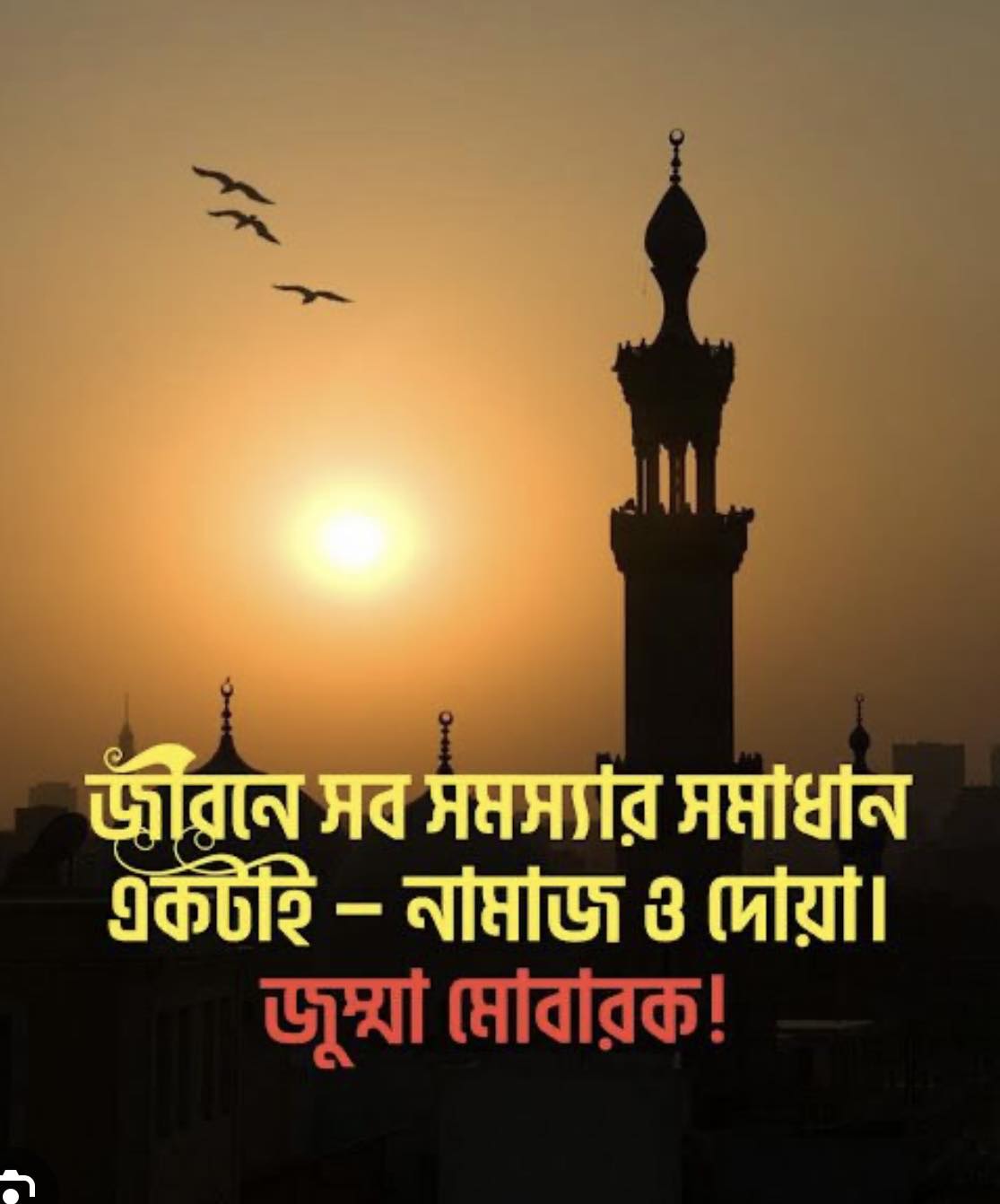 রকিব সরকার - Rakib Sarker