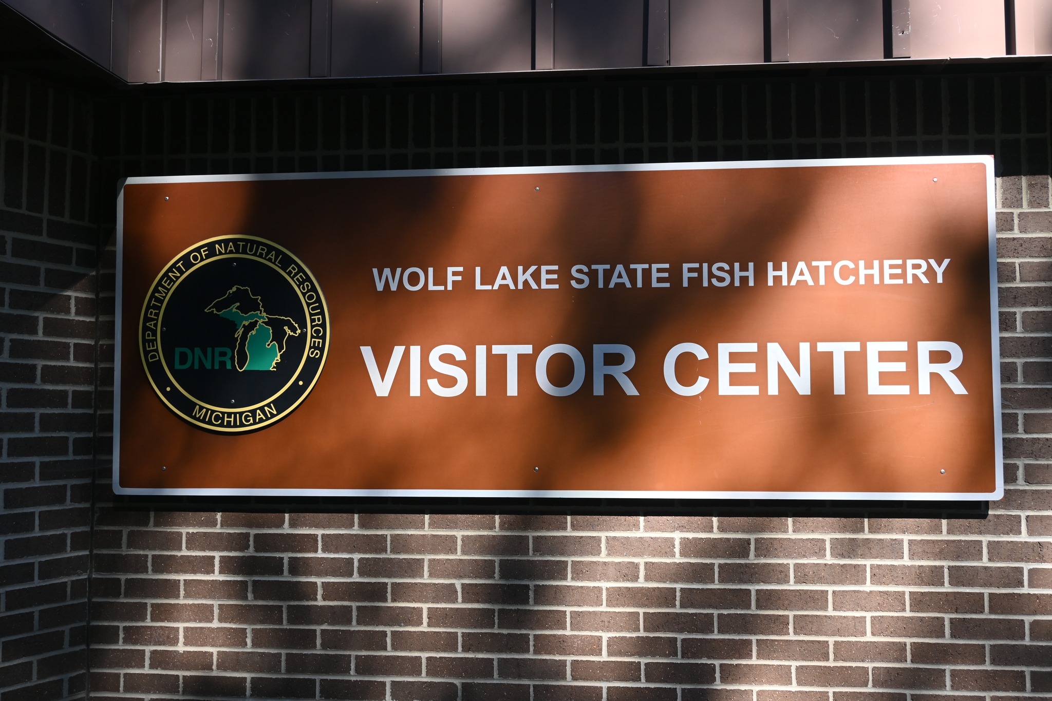 Wolf Lake State Fish... - Paw Paw Public School District | Facebook