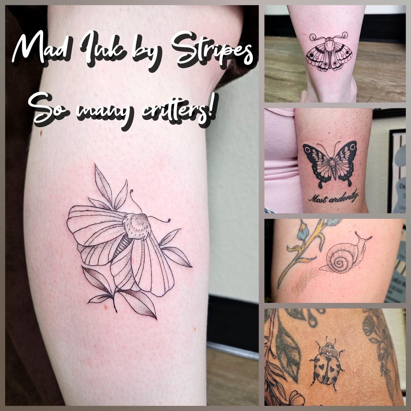 Mad Ink by Stripes | Colorado Springs CO