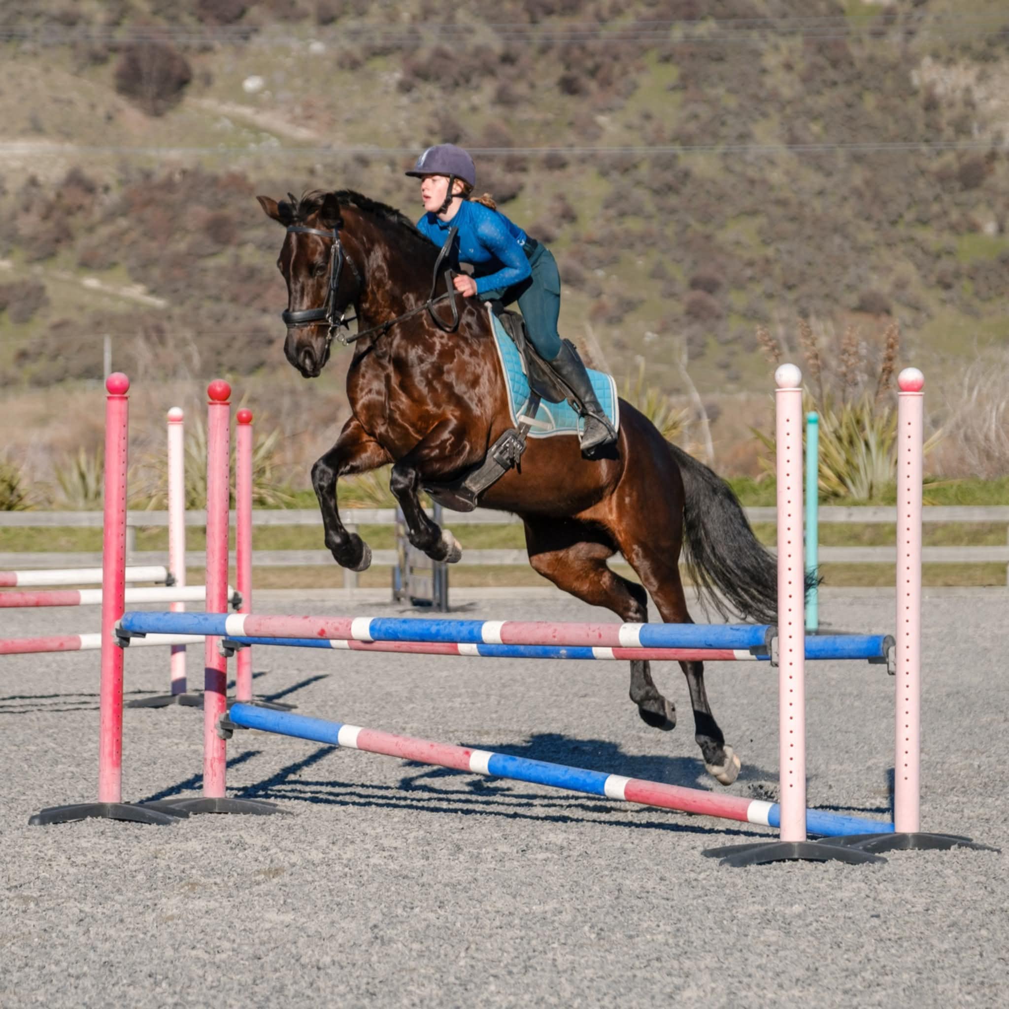 Shotover Equestrian | Queenstown