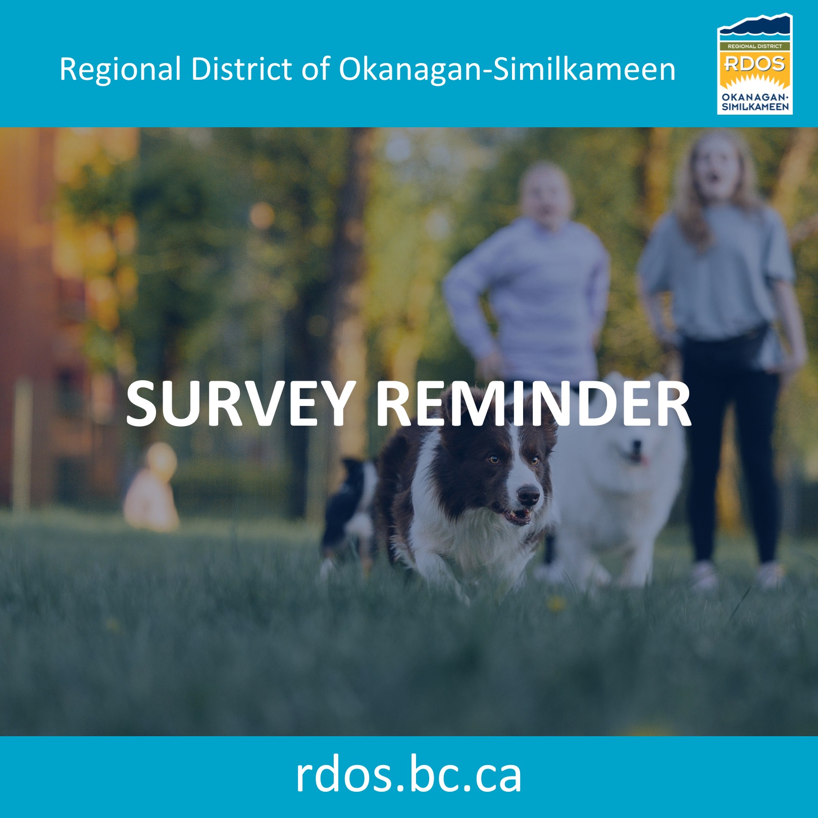 🐾 Have your... - Regional District of Okanagan-Similkameen | Facebook