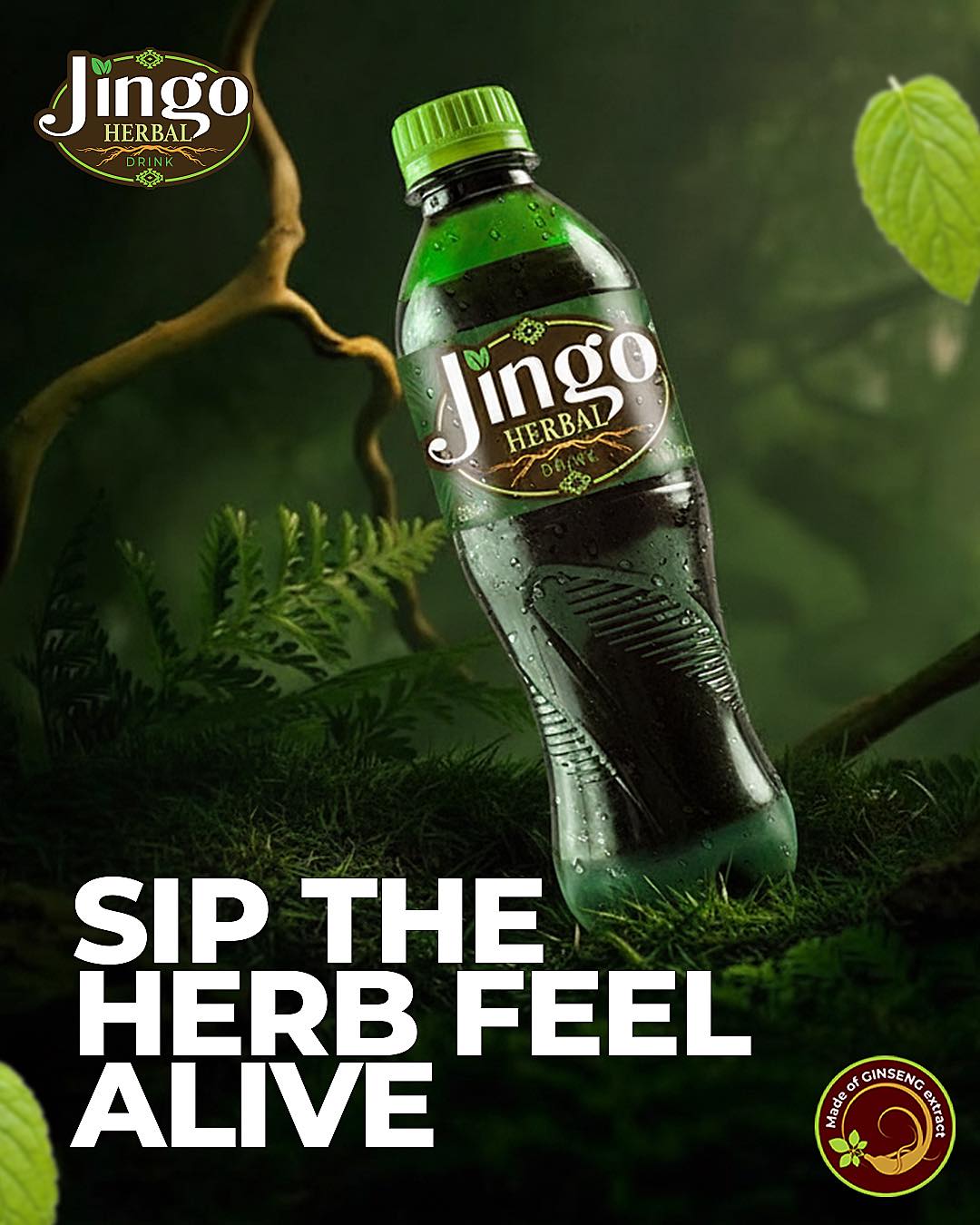 Jingo Herbal Drink