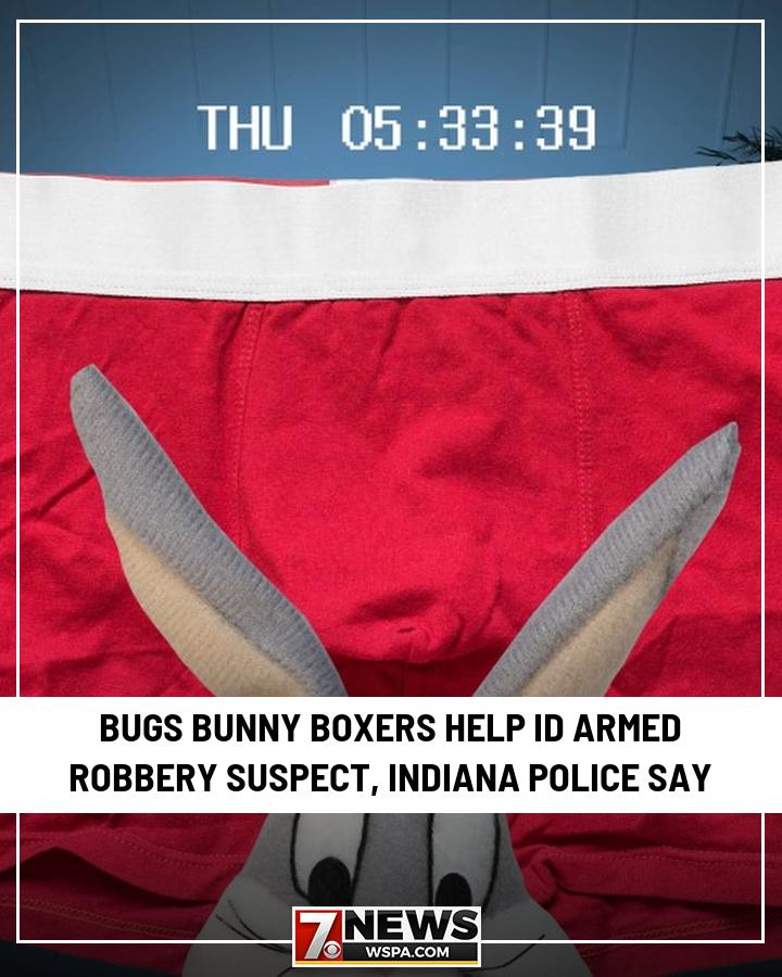 WSPA - A rascally rabbit helped police identify a woman accused of ...