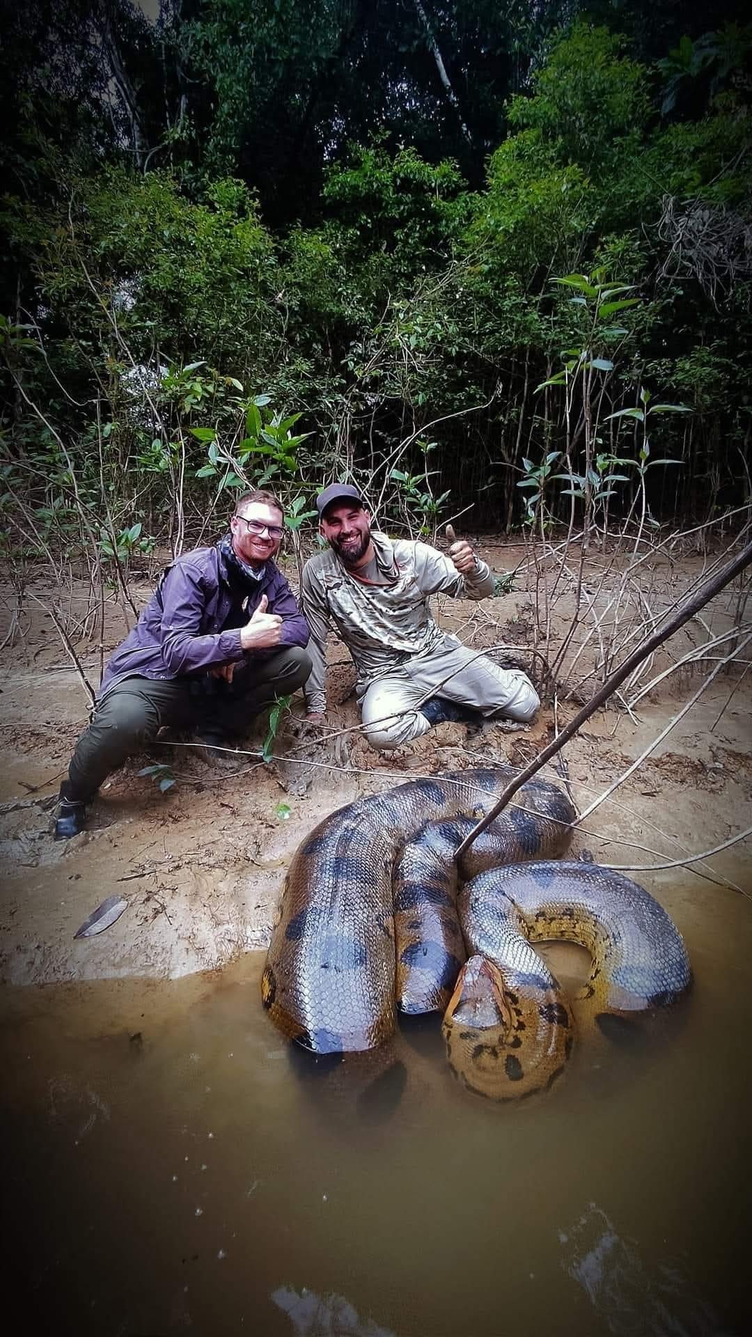 Wildlife Tours Peru | Iquitos