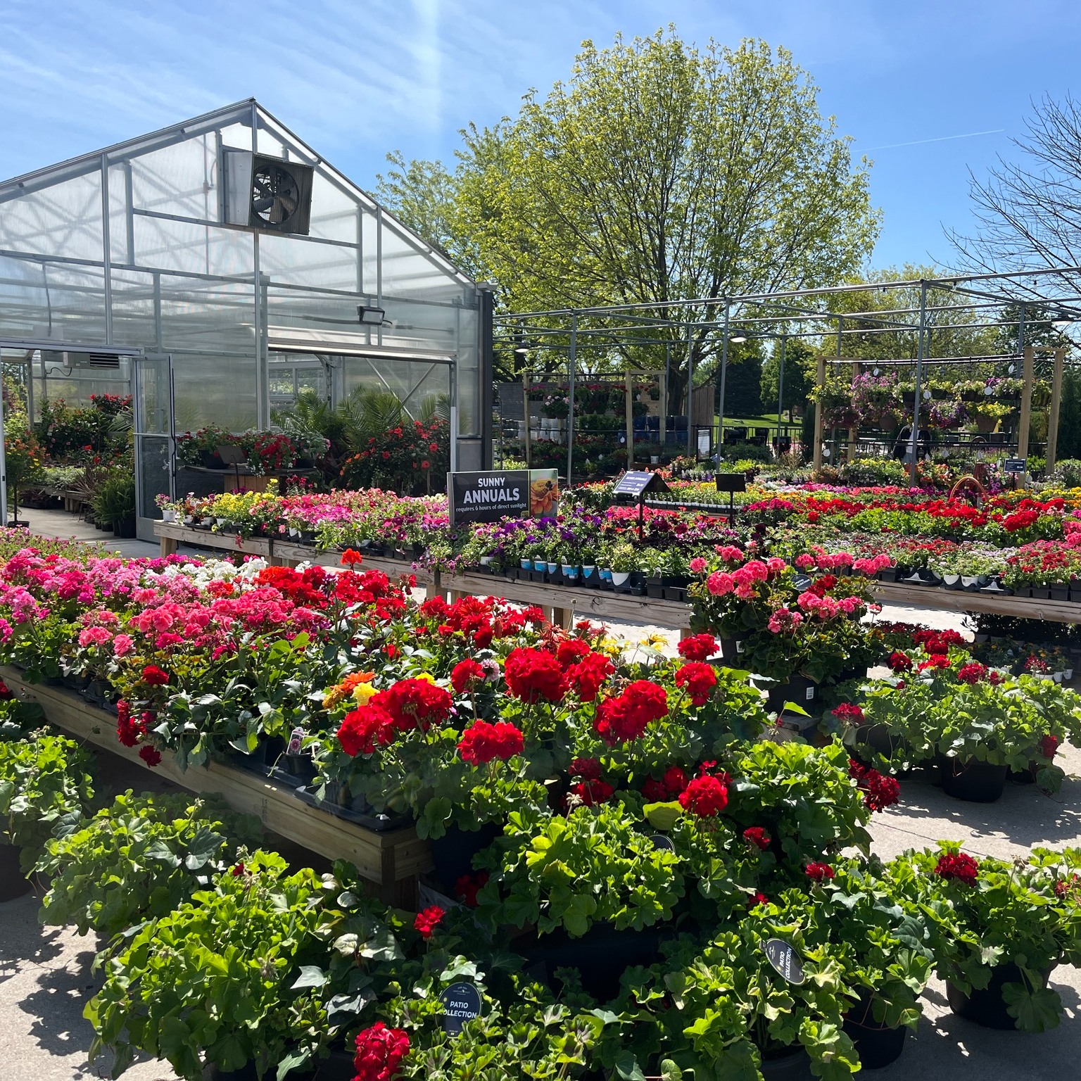 plant nursery klow prices Our BIGGEST SALE OF THE YEAR starts Wednesday, July 1st! 🌸 Save up to 50% off all in-stock plants during our July Nursery Sale. Here's a quick look at our offers HEART NO production and S-nitrosylation Paint Code:HT Great for stacking and
