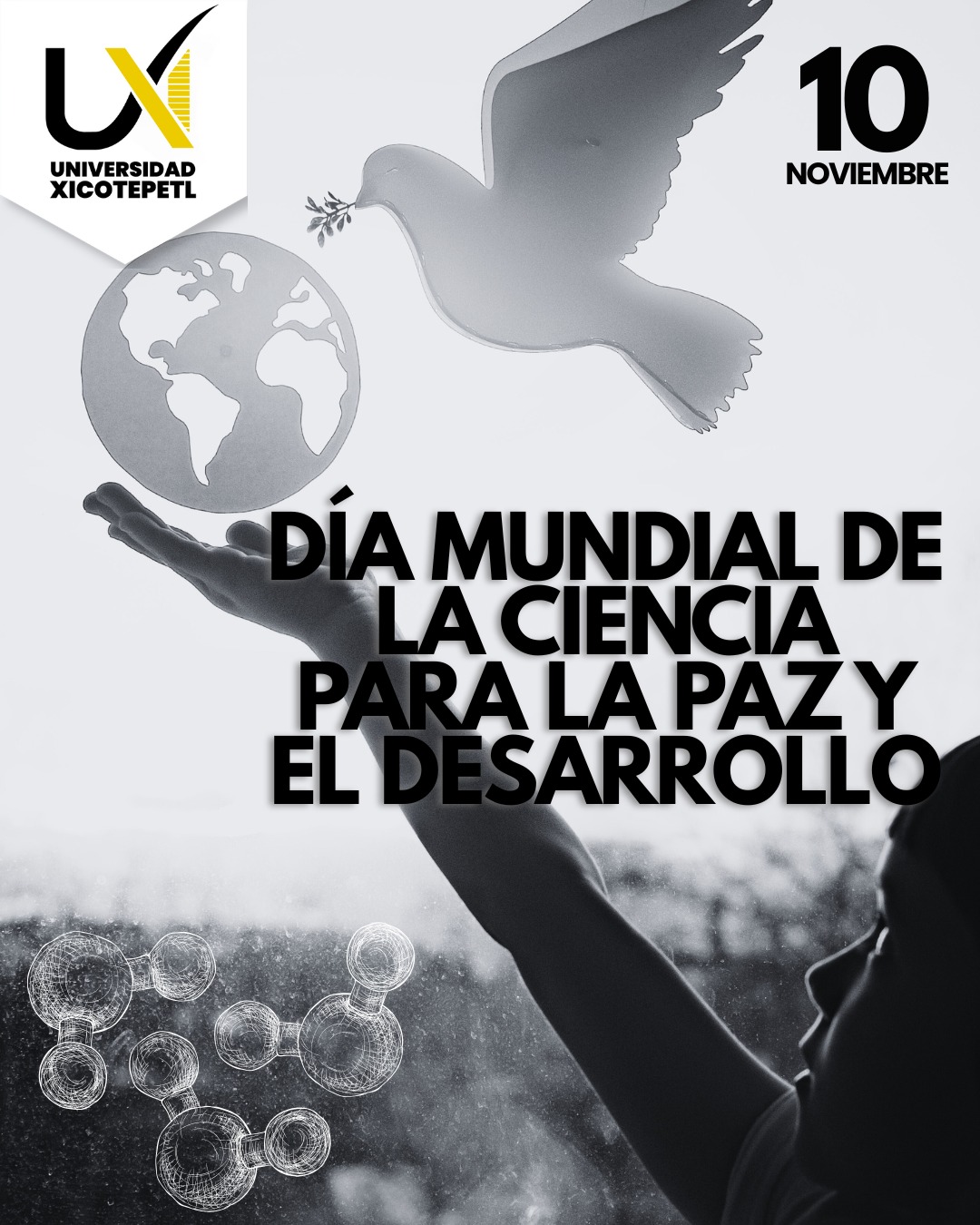 Universidad - Día Mundial de la Ciencia para la Paz y el Desarrollo La ...