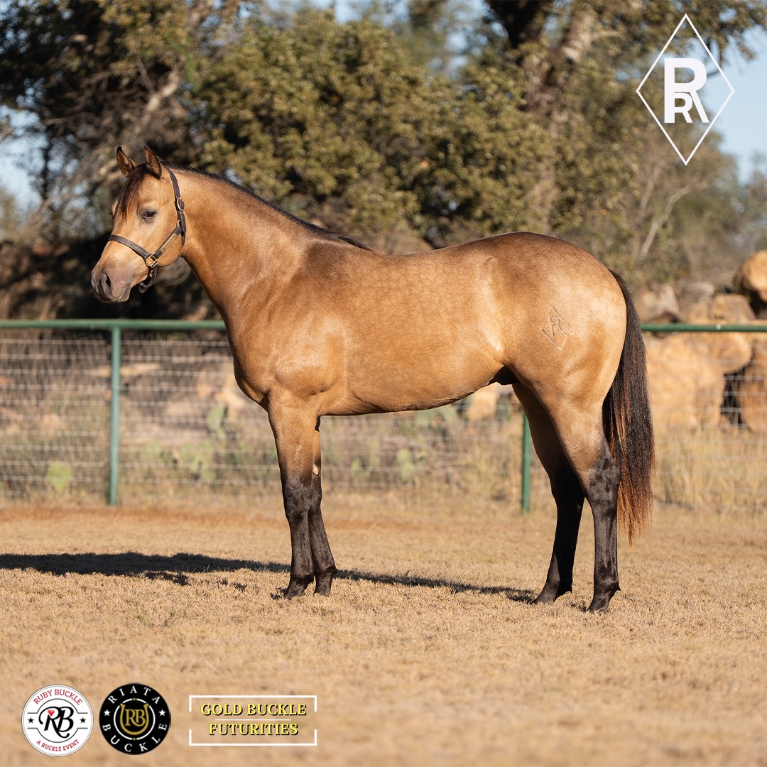 Reliance Ranches