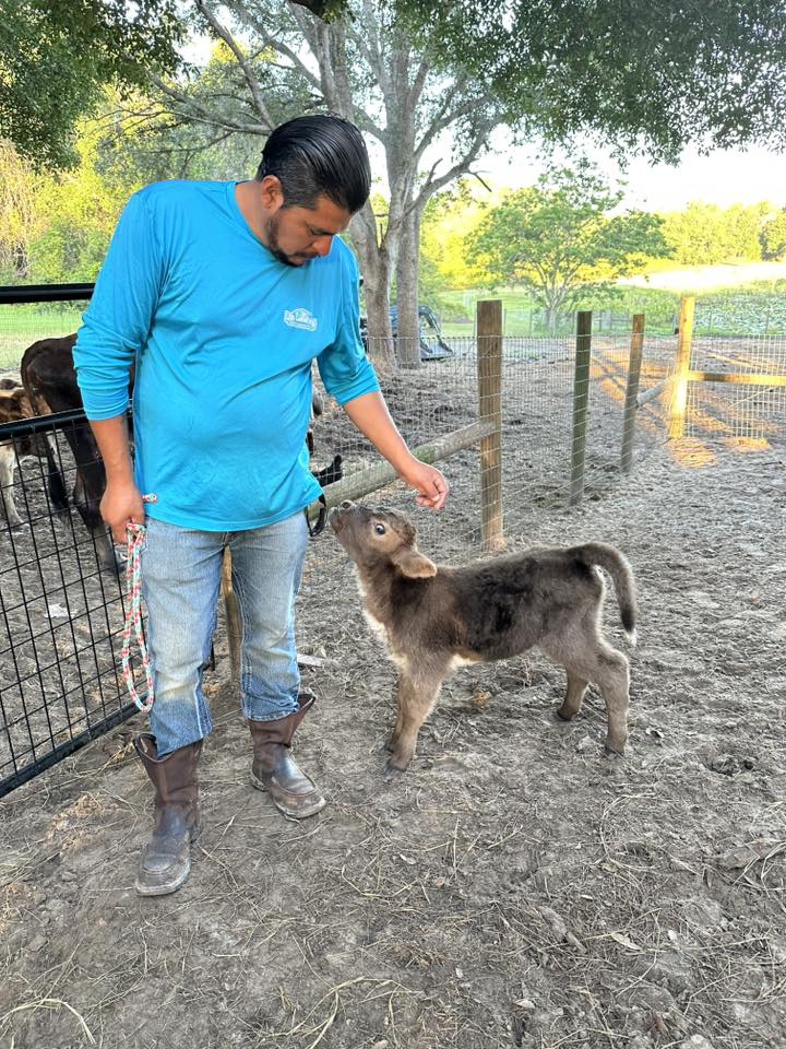 Rolling acres ranch | Lady Lake FL