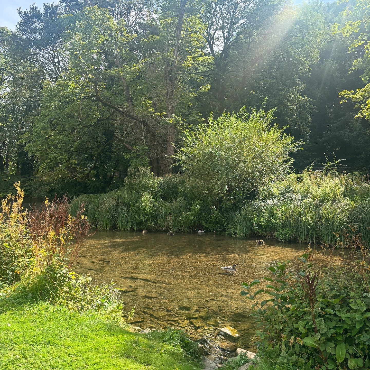 Riverside Cottages | Bakewell