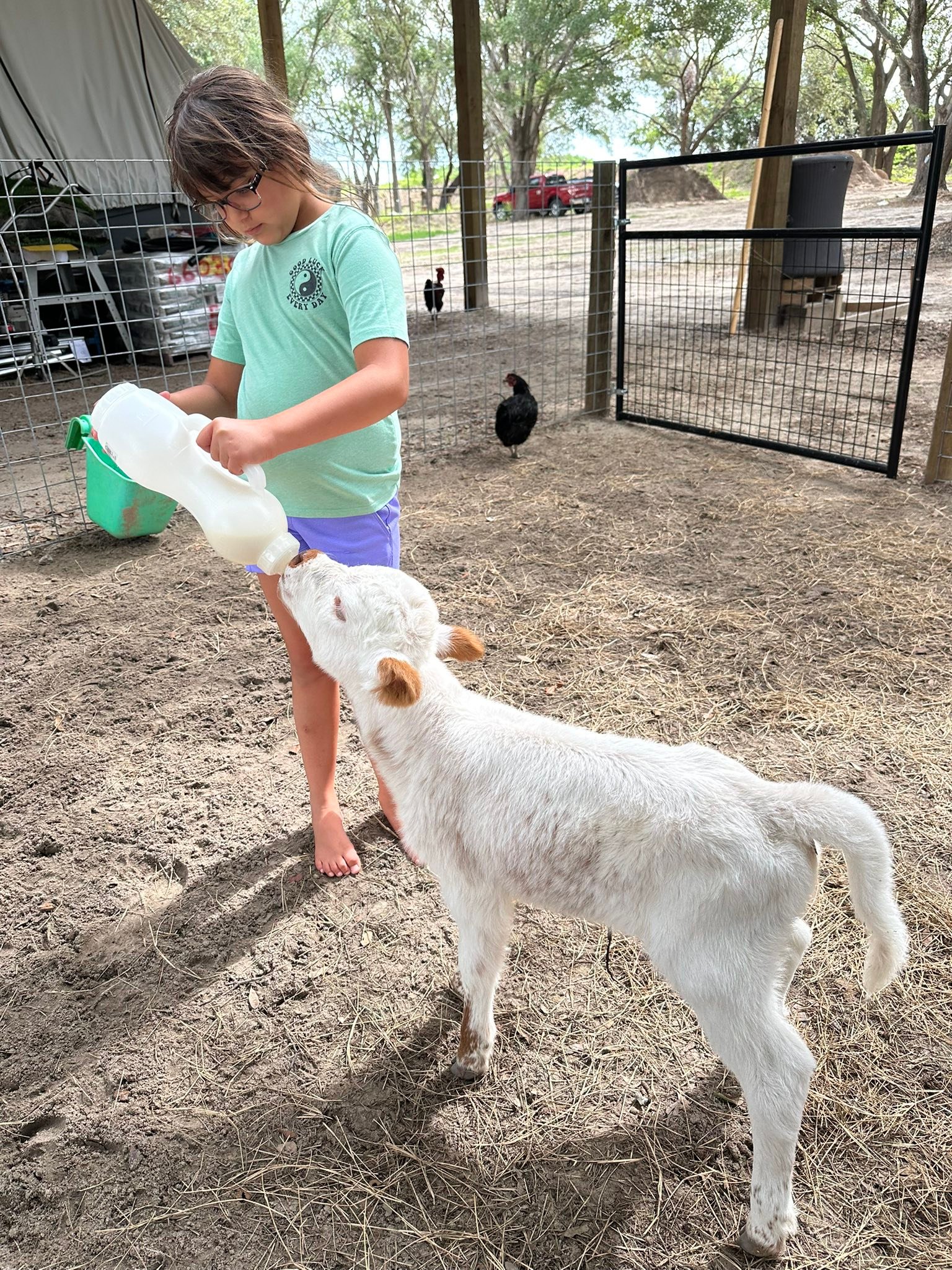 Rolling acres ranch | Lady Lake FL