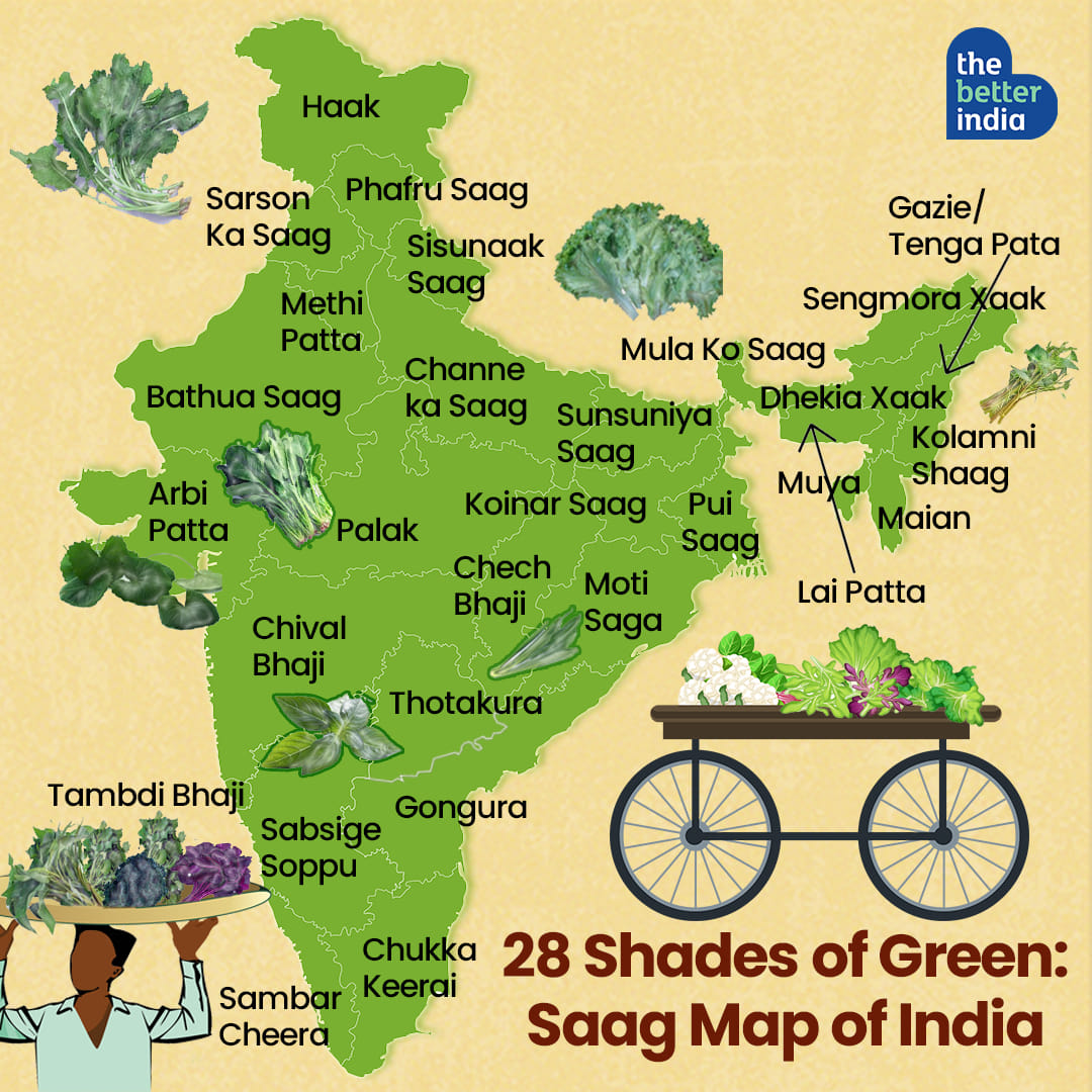 TheBetterIndia - 28 Shades of Green: Presenting the Saag Map of India ...