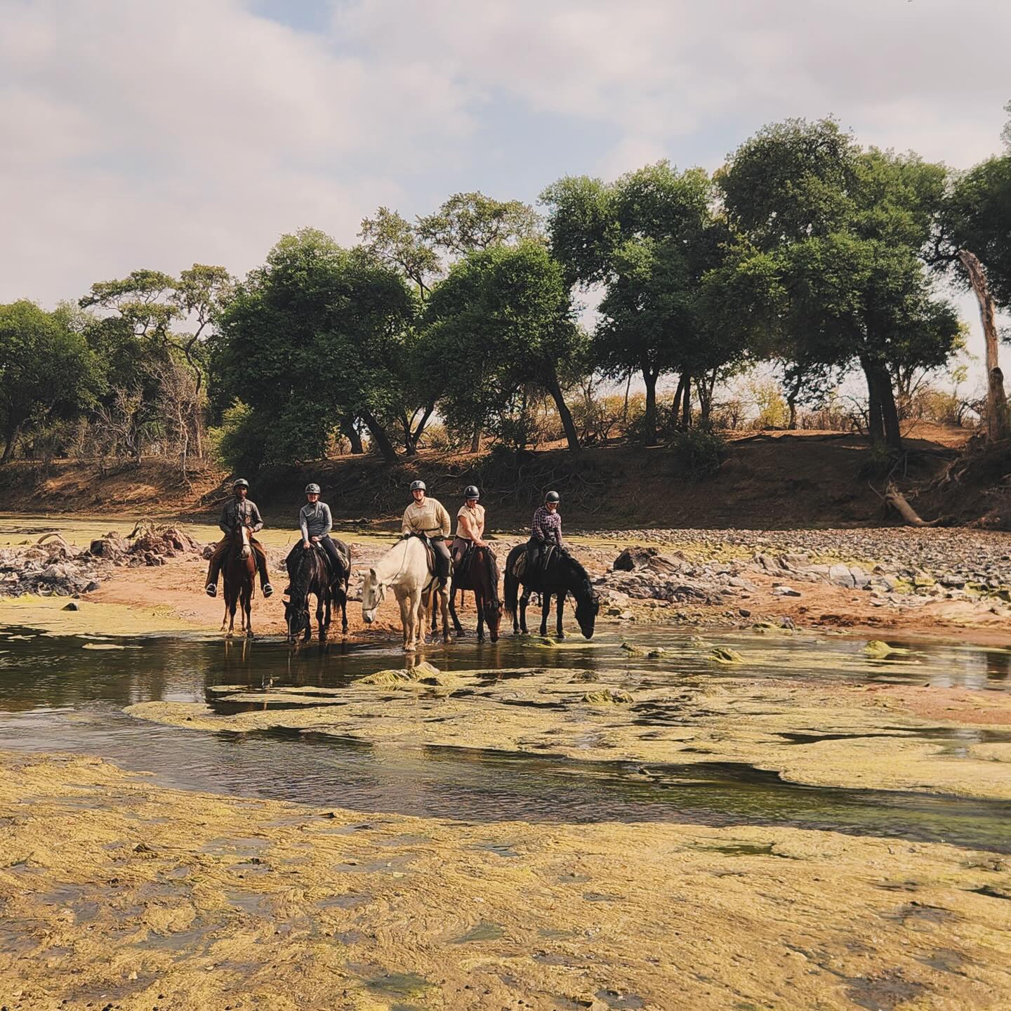 In the Company of Horses | Mathathane