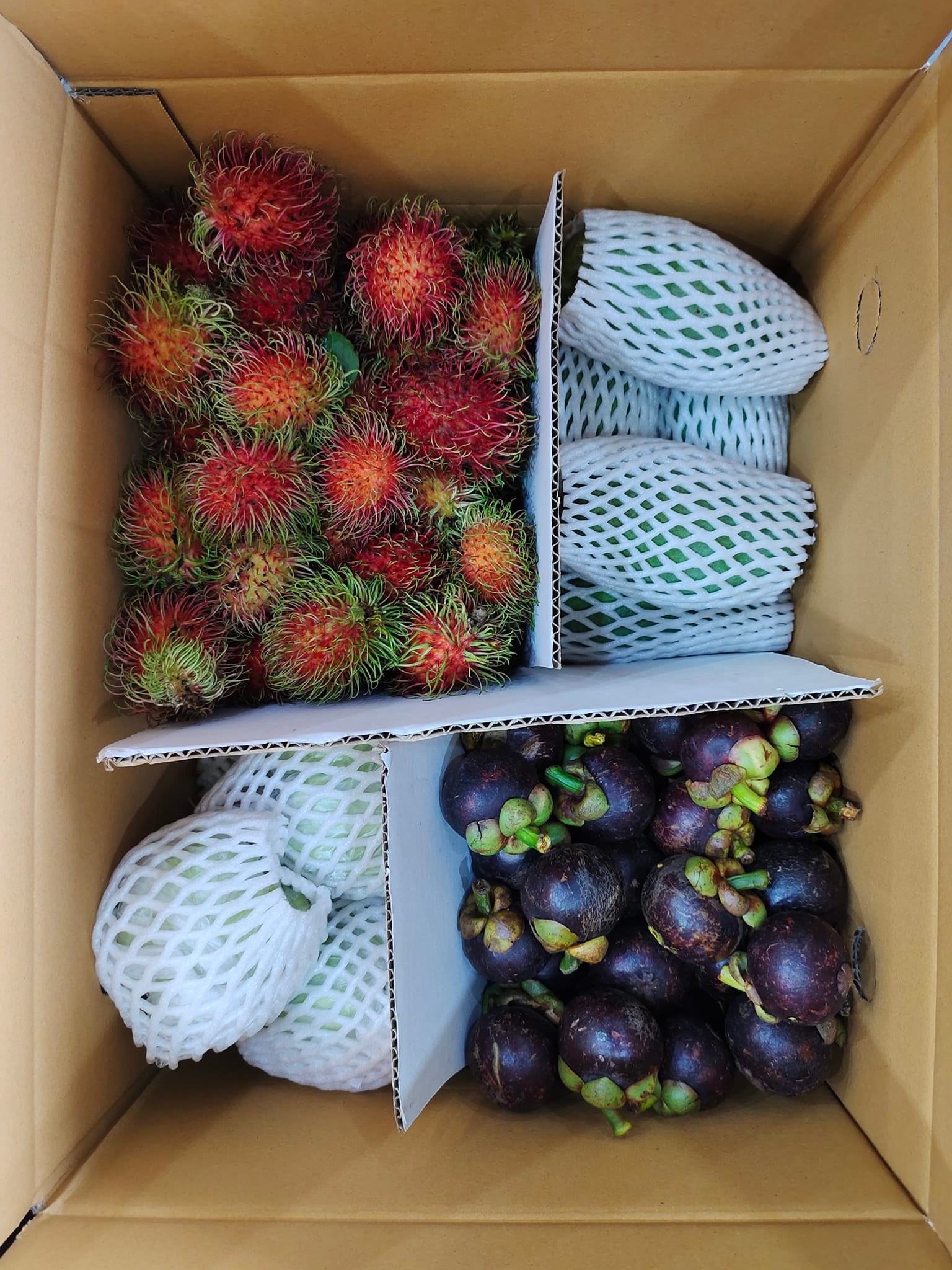 ผลไม้ขยส่งเจ้กุ้ง