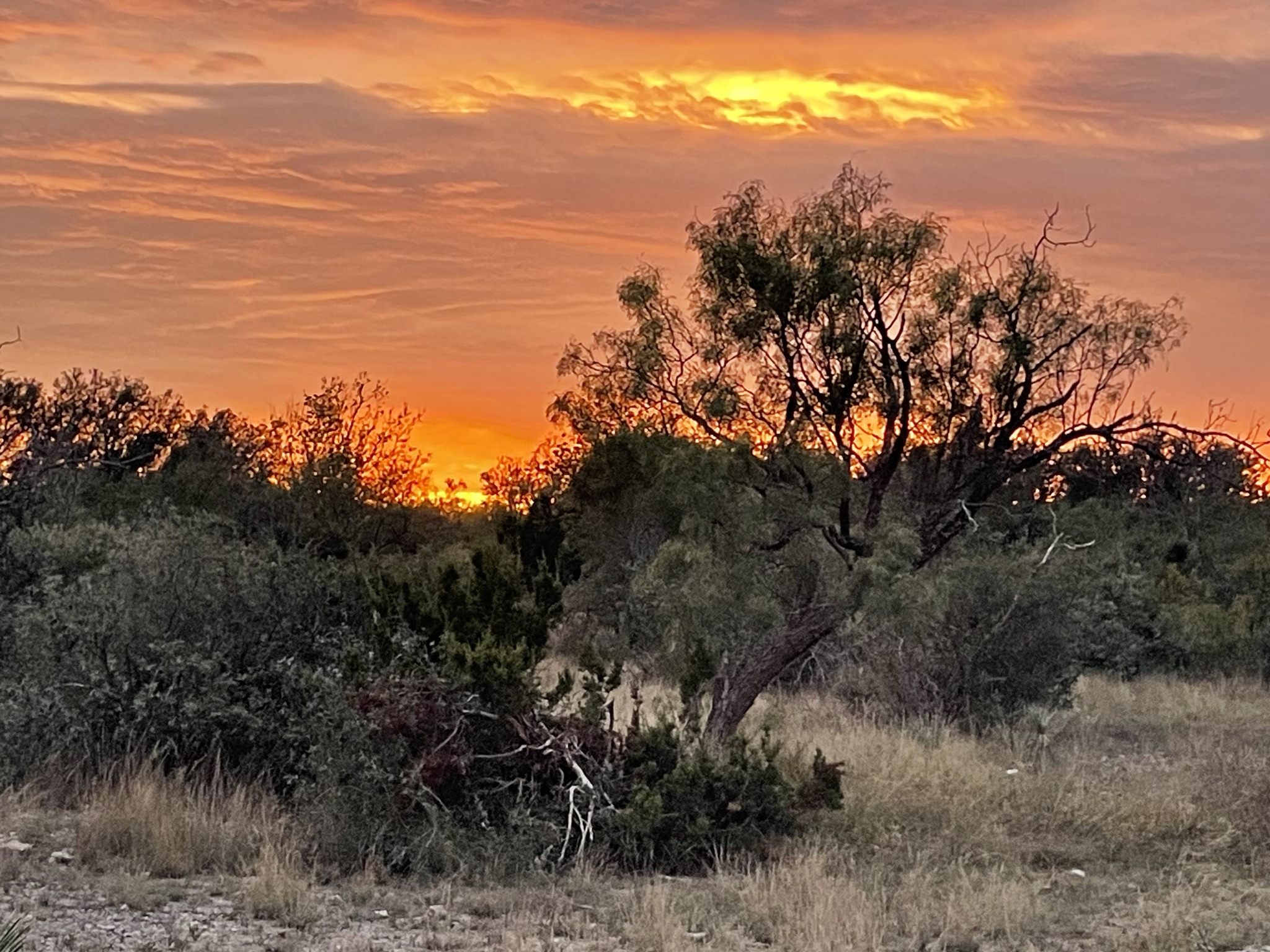 Lucky Draw Ranch | Menard TX