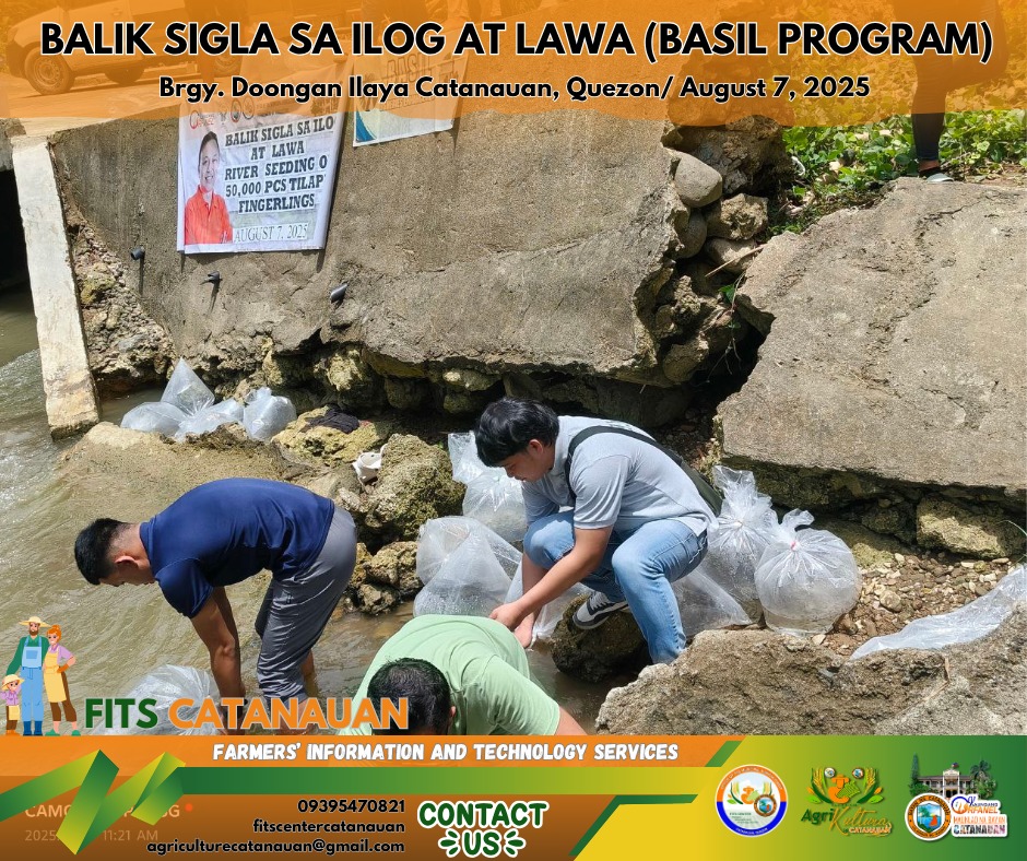 Local Government Unit... - Local Government Unit of Catanauan