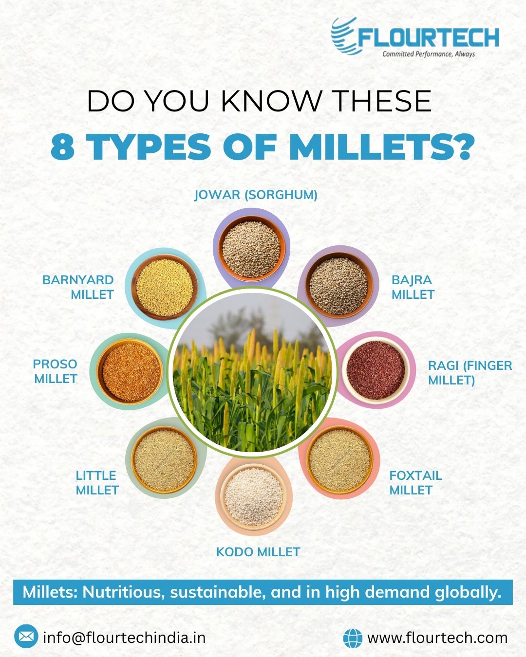 🌾 8 Essential Millets You Should... - FlourTech Engineers | Facebook