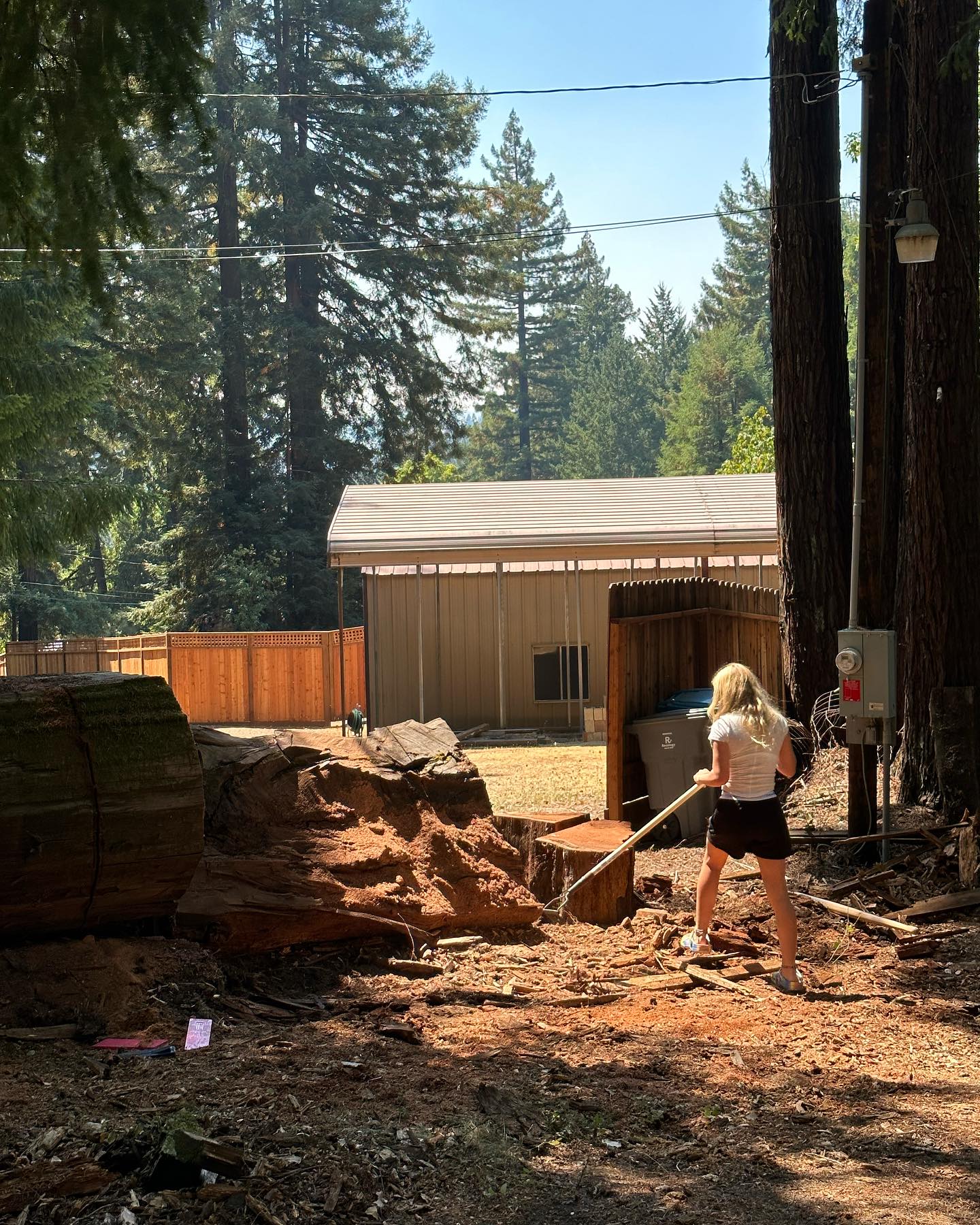 True Humboldt tree service | Arcata CA