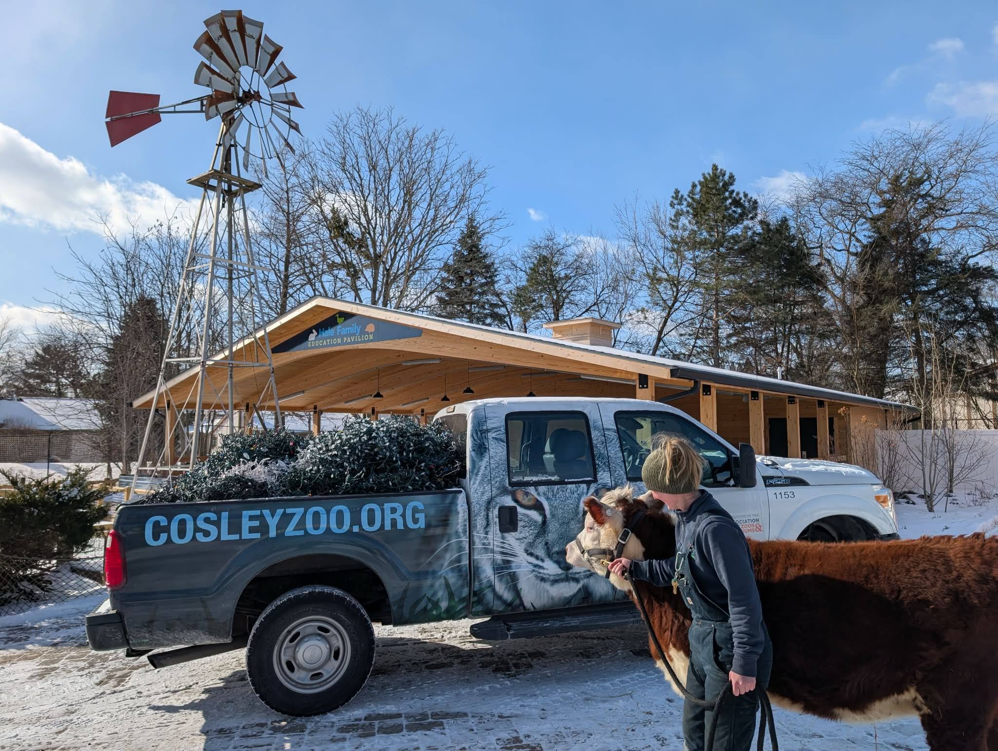 Cosley Zoo | Wheaton IL