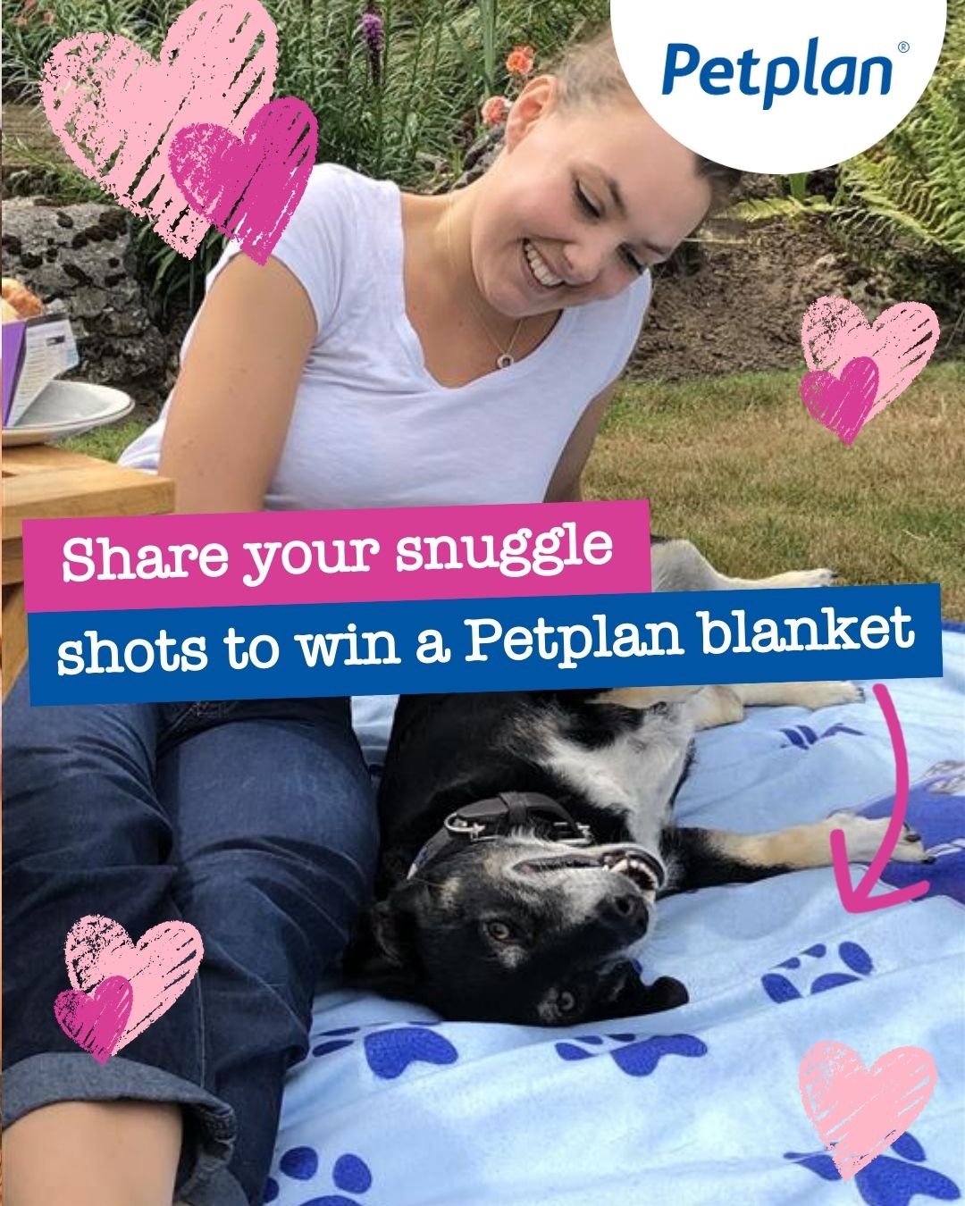 Petplan UK